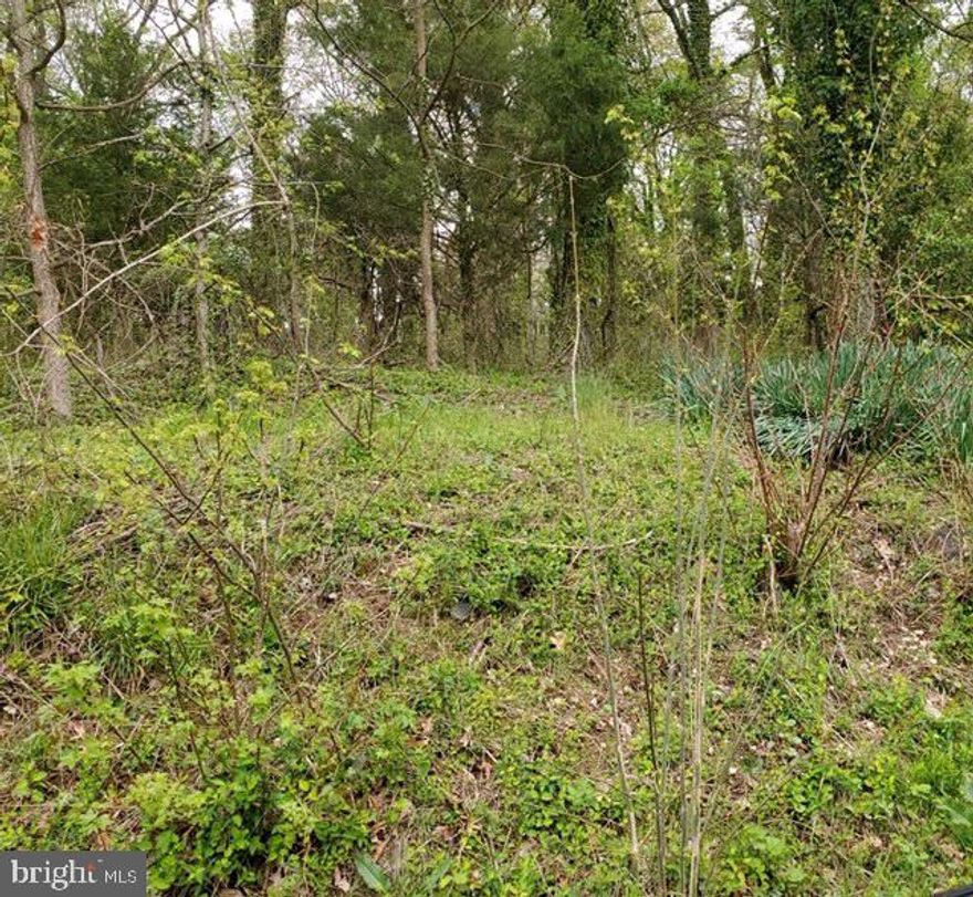 Great Opportunity to BUILD! Close to National Harbor, Northern Virginia, Andrew AFB, shopping centers and METRO access!  Access to public water, sewer, gas and electric. Easement and Right of Way Agreements for water and sewer.  Don't miss this opportunity!