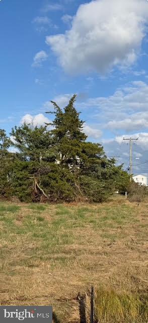 CAPE ISLE OF WIGHT - Land