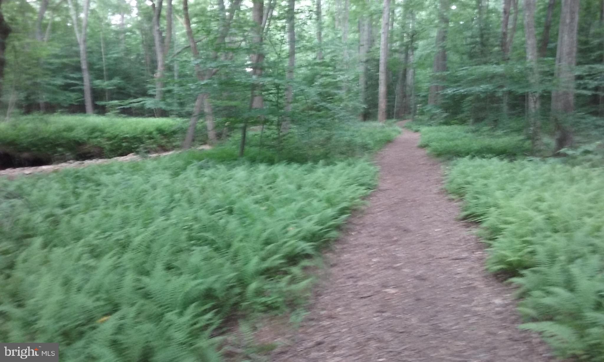 THE MEADOWS AT BARNES CR - Residential