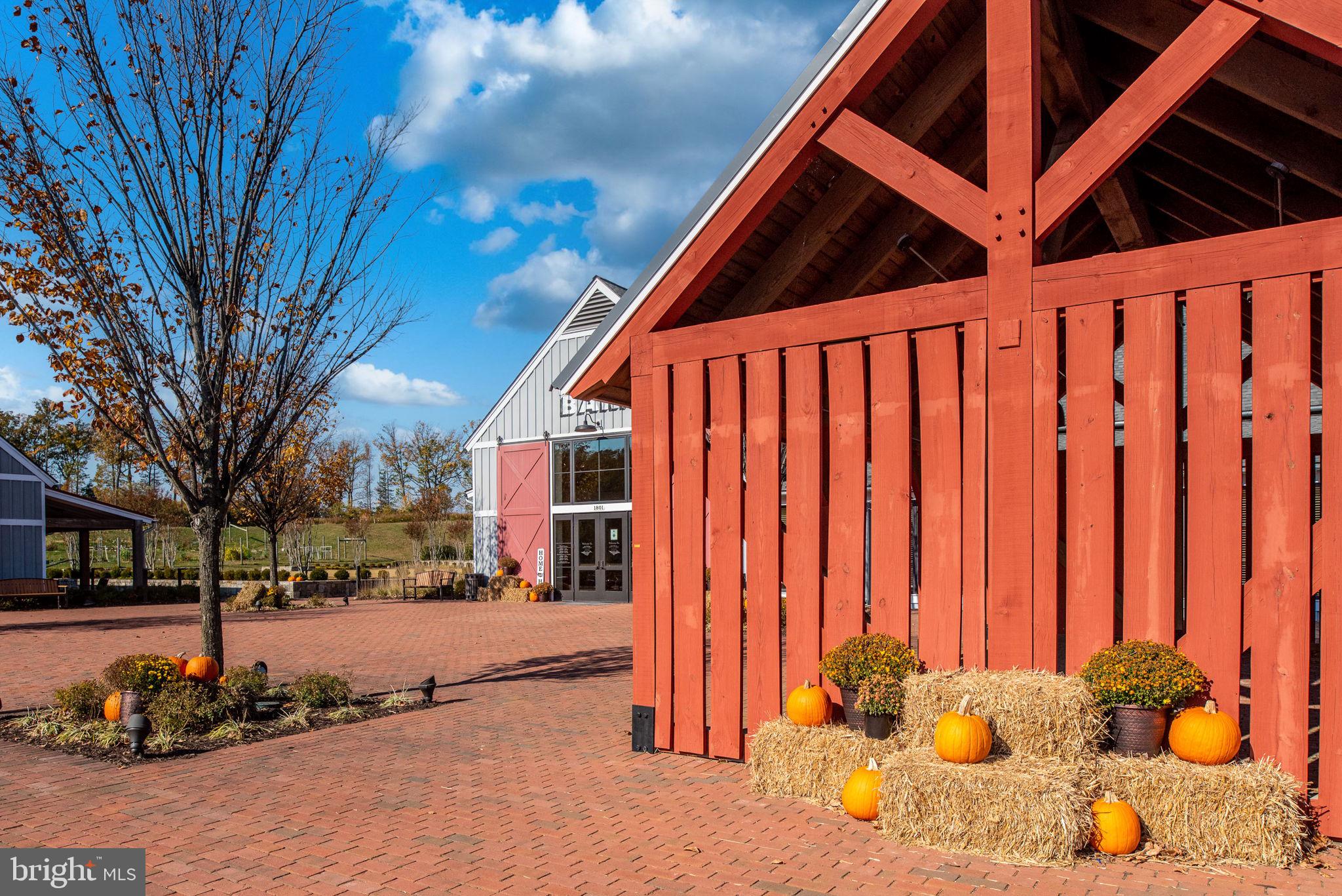 POTOMAC SHORES - Residential