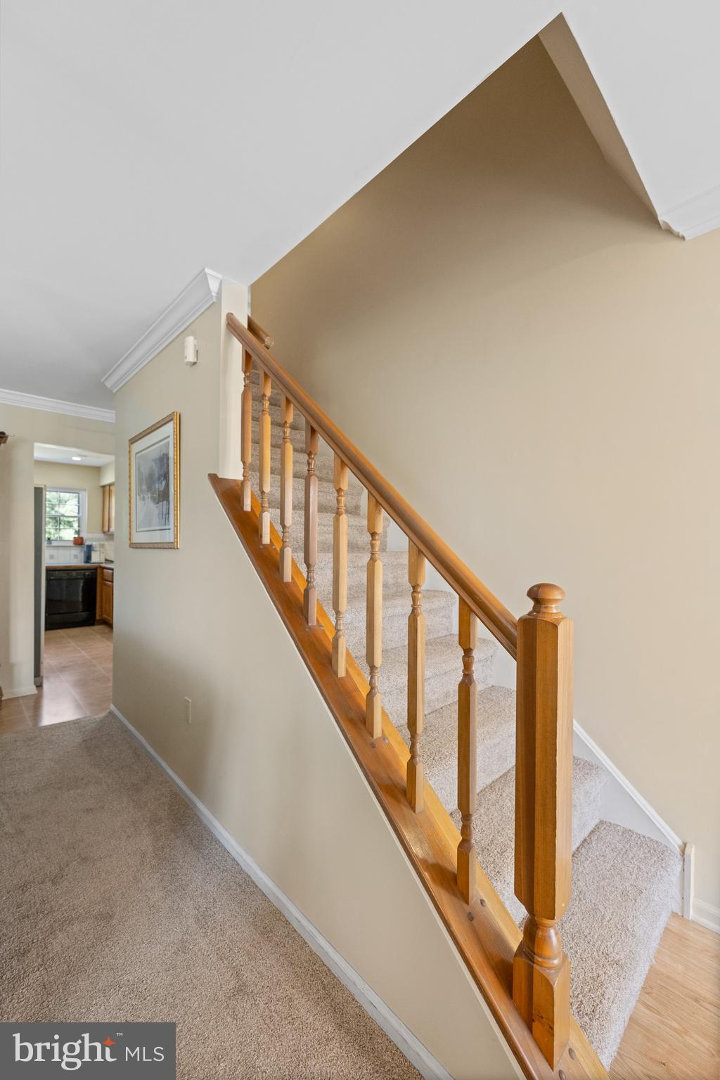 NEWTOWN GRANT - Residential