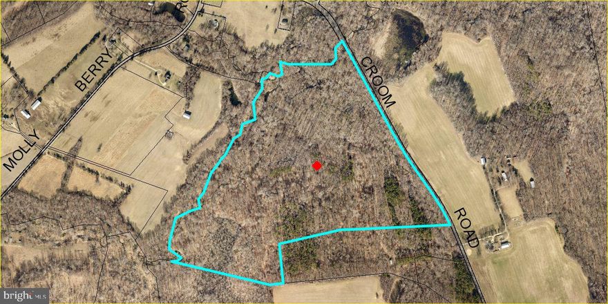 Beautiful wooded  79.322 +/- acres in Woodland Preservation Easement.  This lot has the perfect location to camp on, hunt, or to promote woodland farming.  Conveniently located in the Washington DC / Virginia metropolitan area. Hunt the land, harvest the timber under a select cut forestry management permit. LAND CANNOT BE CLEARED and must be allowed to re-grow naturally or be re-planted if trees are harvested. Property cannot be subdivided. Two adjacent buildable lots available (MDPG2070620 - 17+/- acres  & MDPG2070044 - 5.61+/- acres). Any existing unused tree mitigation rights which remain on the date of settlement shall be retained by the Seller;  and do not convey with the property.  Buyer to retain current agricultural assessment at property transfer. More details available upon inquiry. Listing Agent must accompany all showings. Buyer's Agent must accompany all showings with their client!