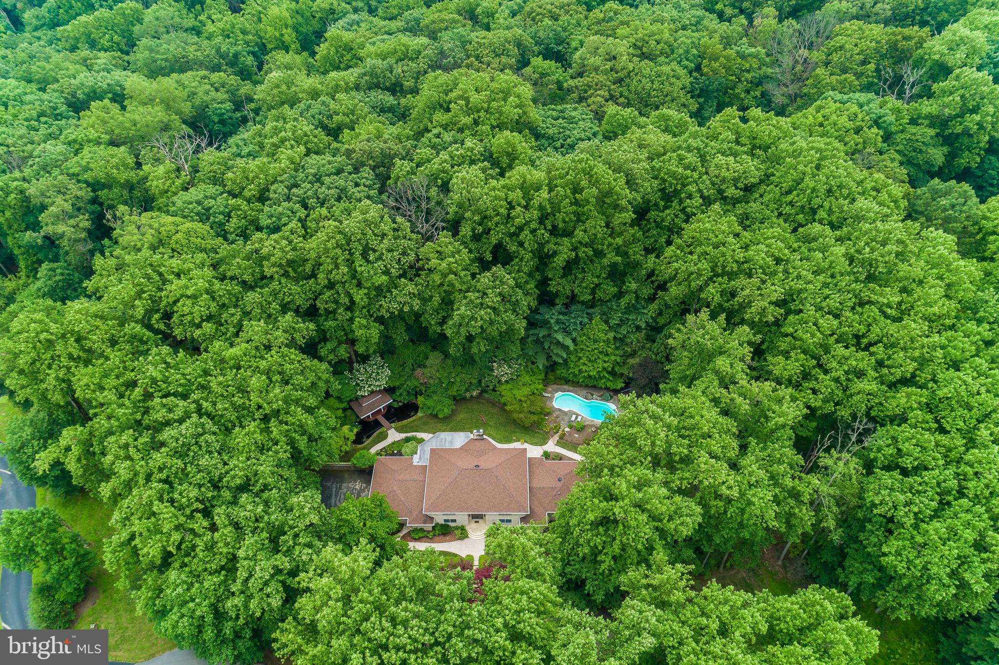 IVY HILL - Residential