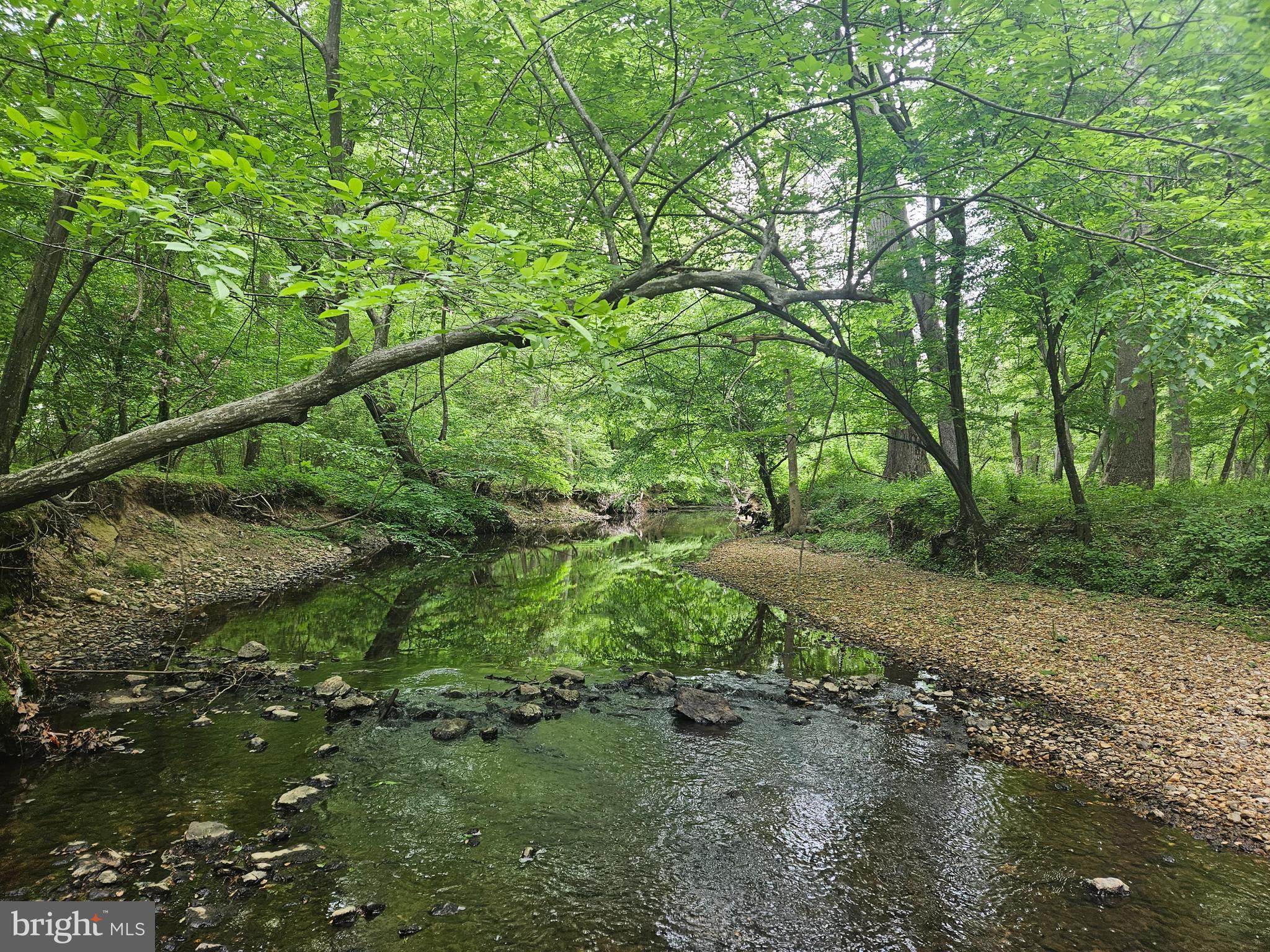 MANTUA - Residential