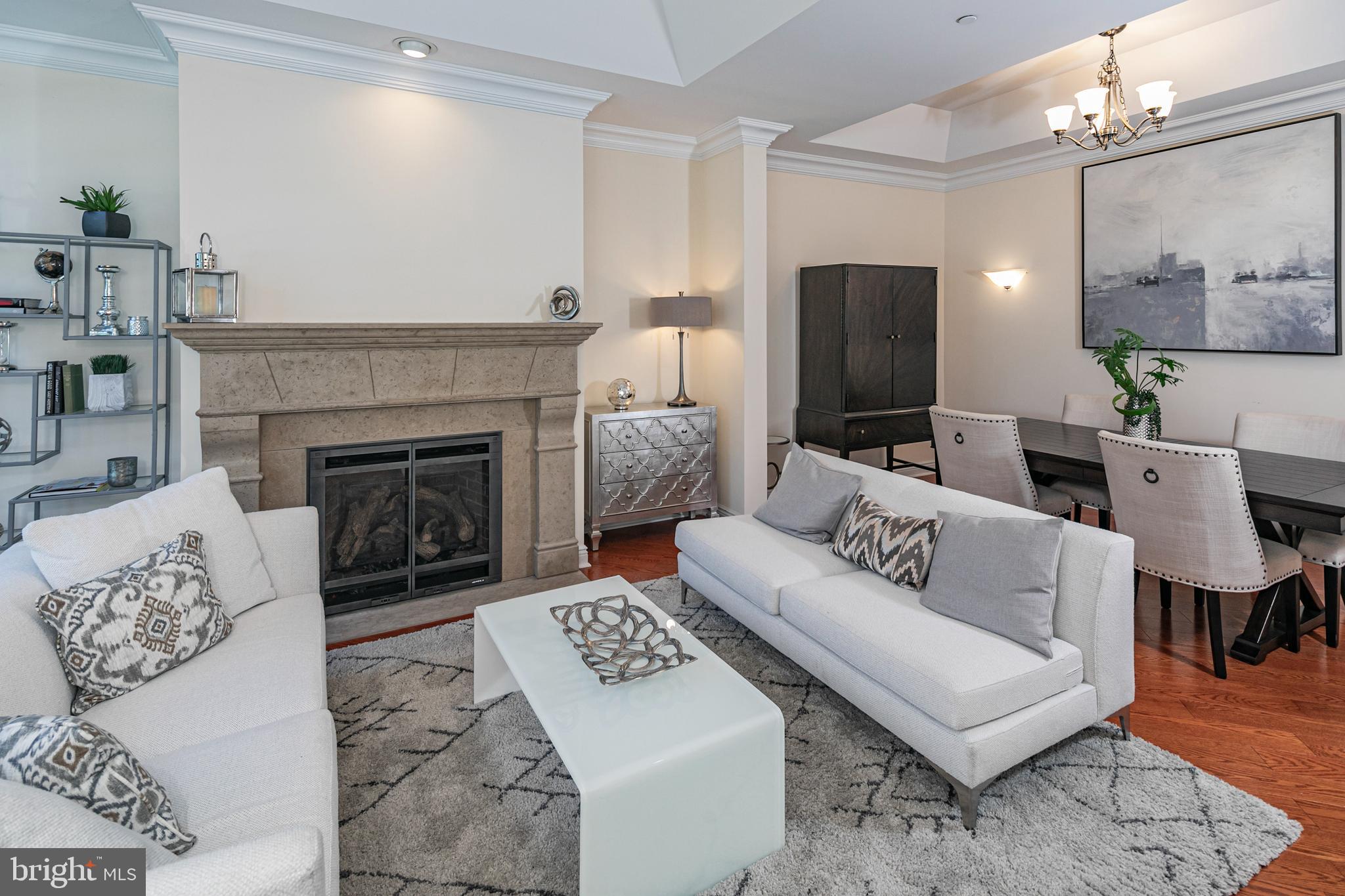 PALMER SQUARE - Residential