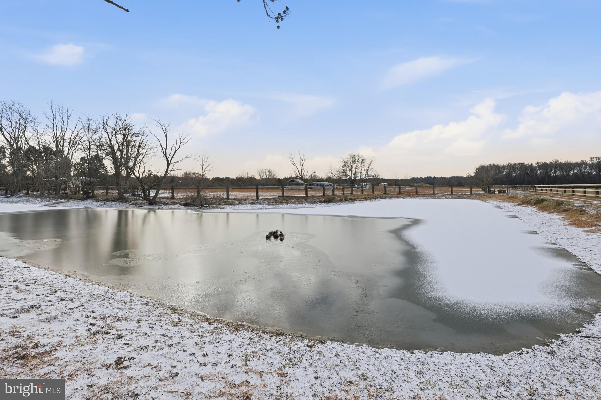 TANYARD - Residential