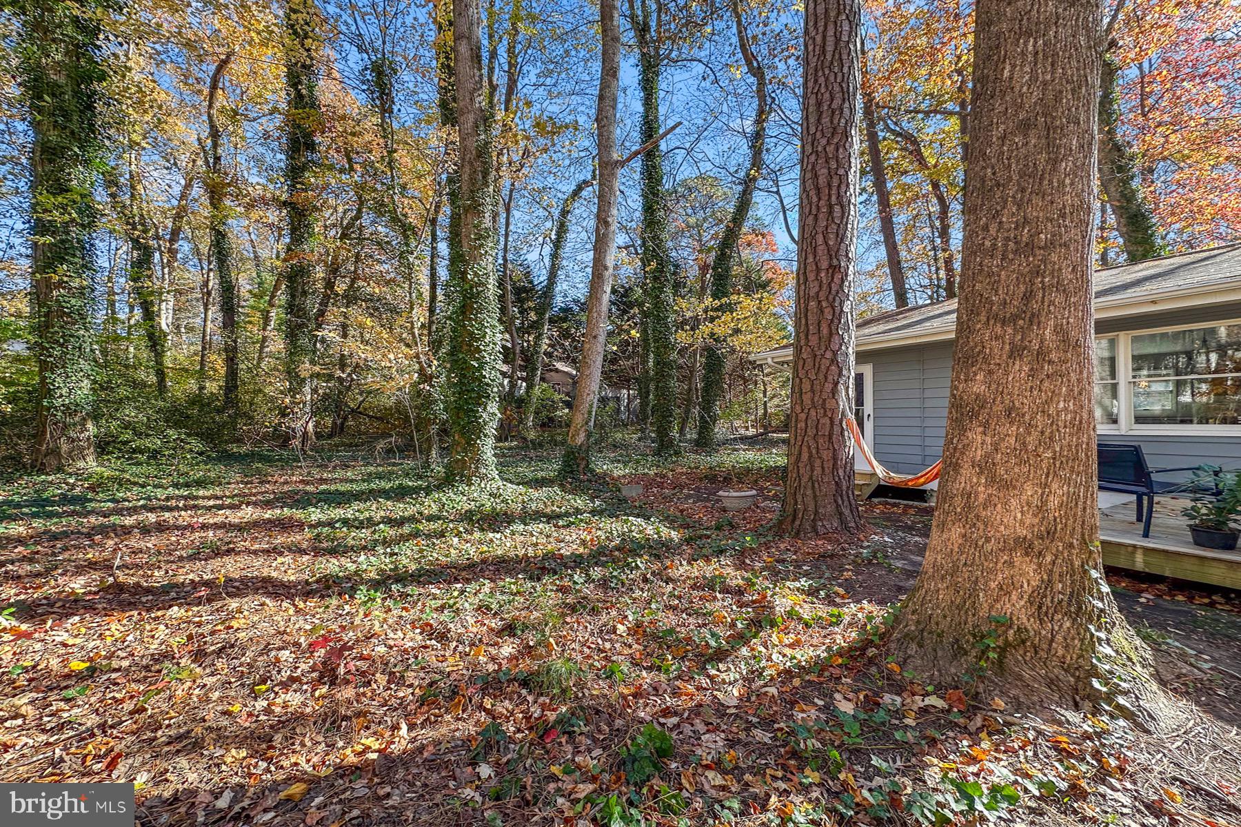 OCEAN PINES - HUNTINGTON - Residential