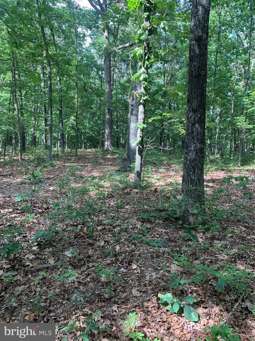 If you are searching for that perfect building site - Look no more, you just found it!!   This Beautiful Approved Building Parcel has Just over 5 acres on Northern side of Culpeper.  Great access to everything state road frontage on Inlet Road. Recently Perc and approved for a 4 bedroom conventional system.   Entrance recently installed and now ready to start construction.  This parcel has utility service at the front too!  AND  COMCAST!   Easy to see -points are set and marked.