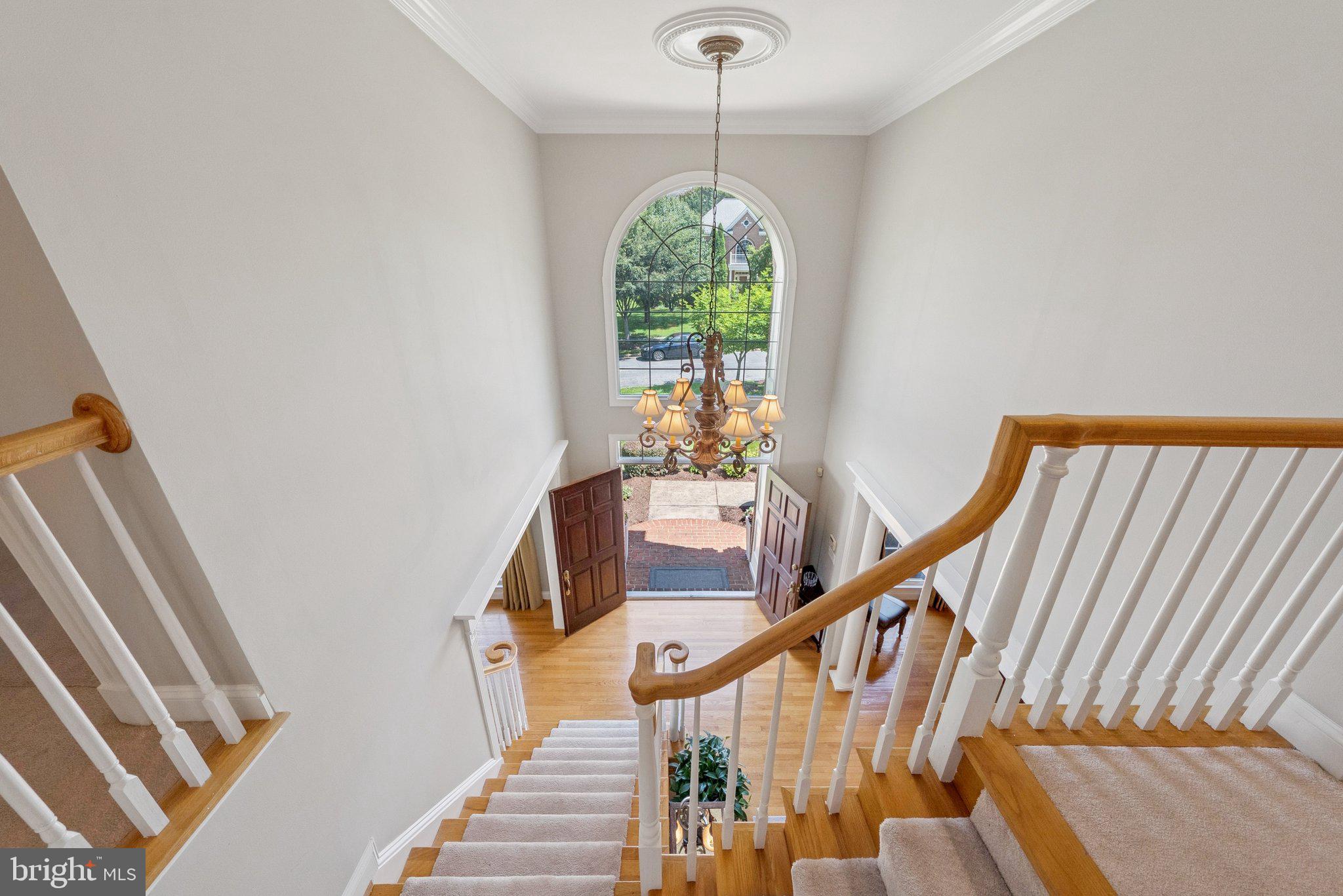 9816 BALD CYPRESS DRIVE