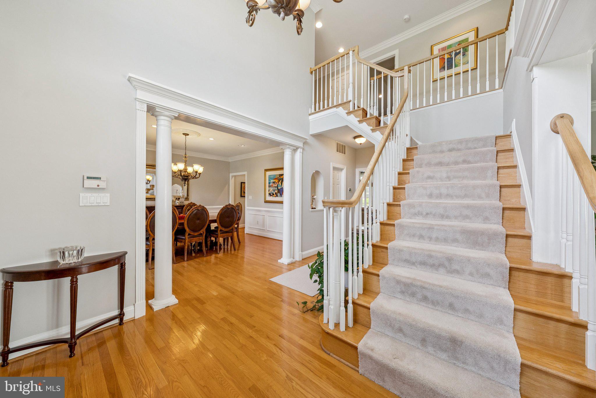 9816 BALD CYPRESS DRIVE