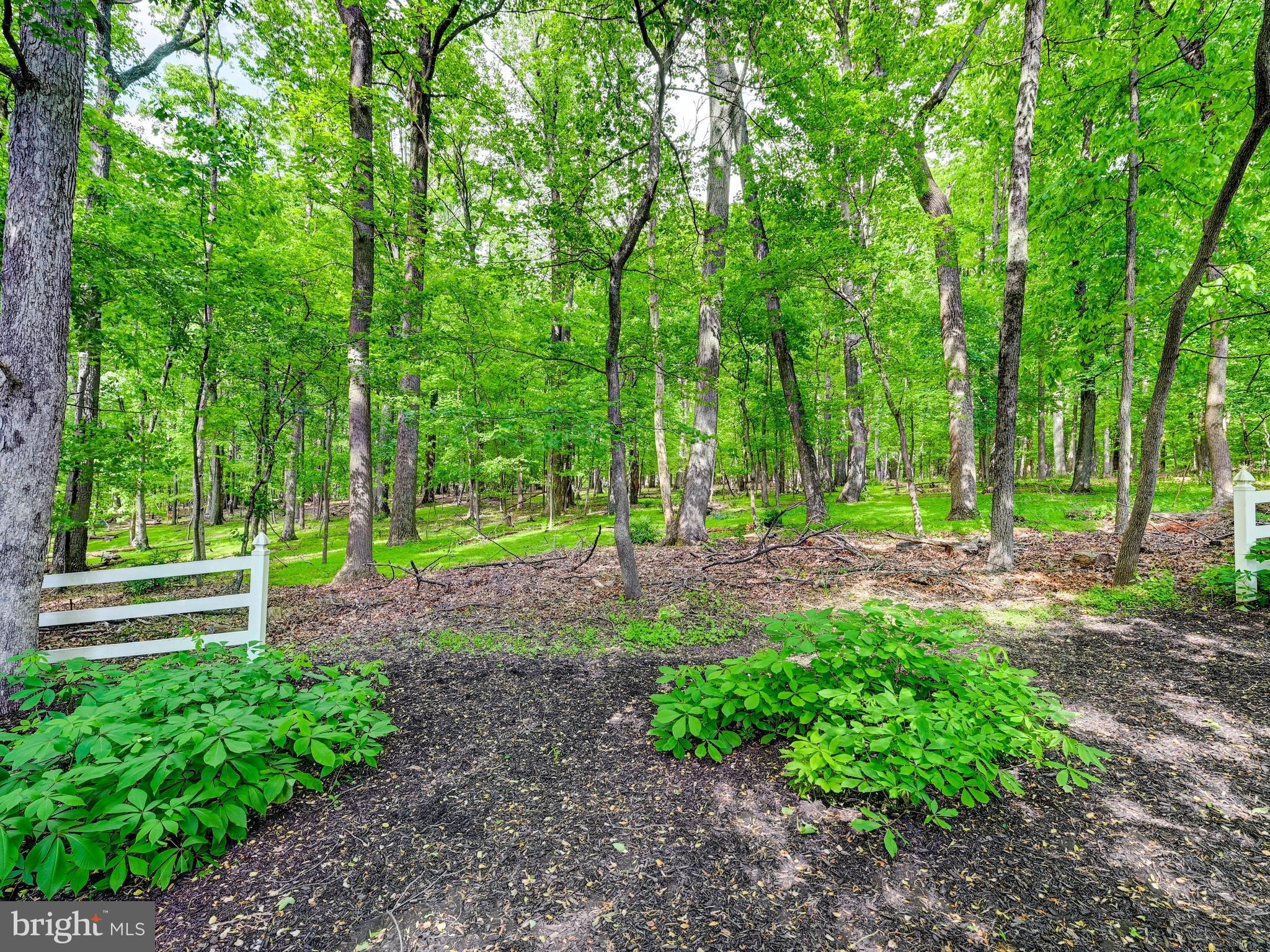 SPRINGHILL FARMS - Residential