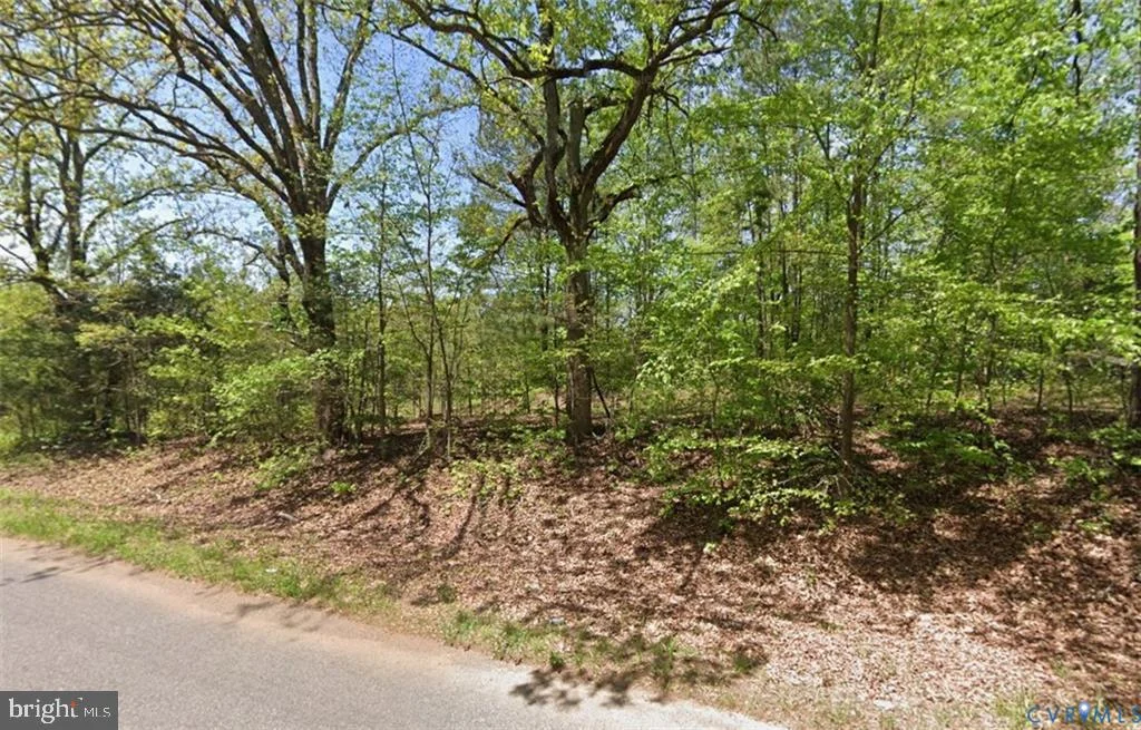 Lot 2 Forksville Road, Forksville, VA, 23950
