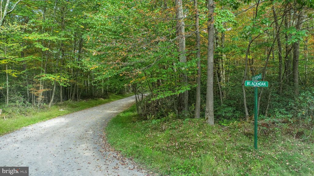 Photo of Lots 57 &amp; 58 Black Oak Drive, OAKLAND, MD 21550 (MLS # MDGA2010420)