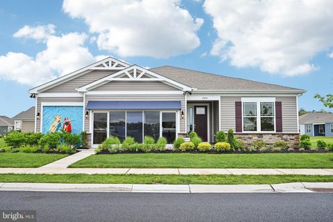 31074 TIGRESS ROAD LEWES DE 19958