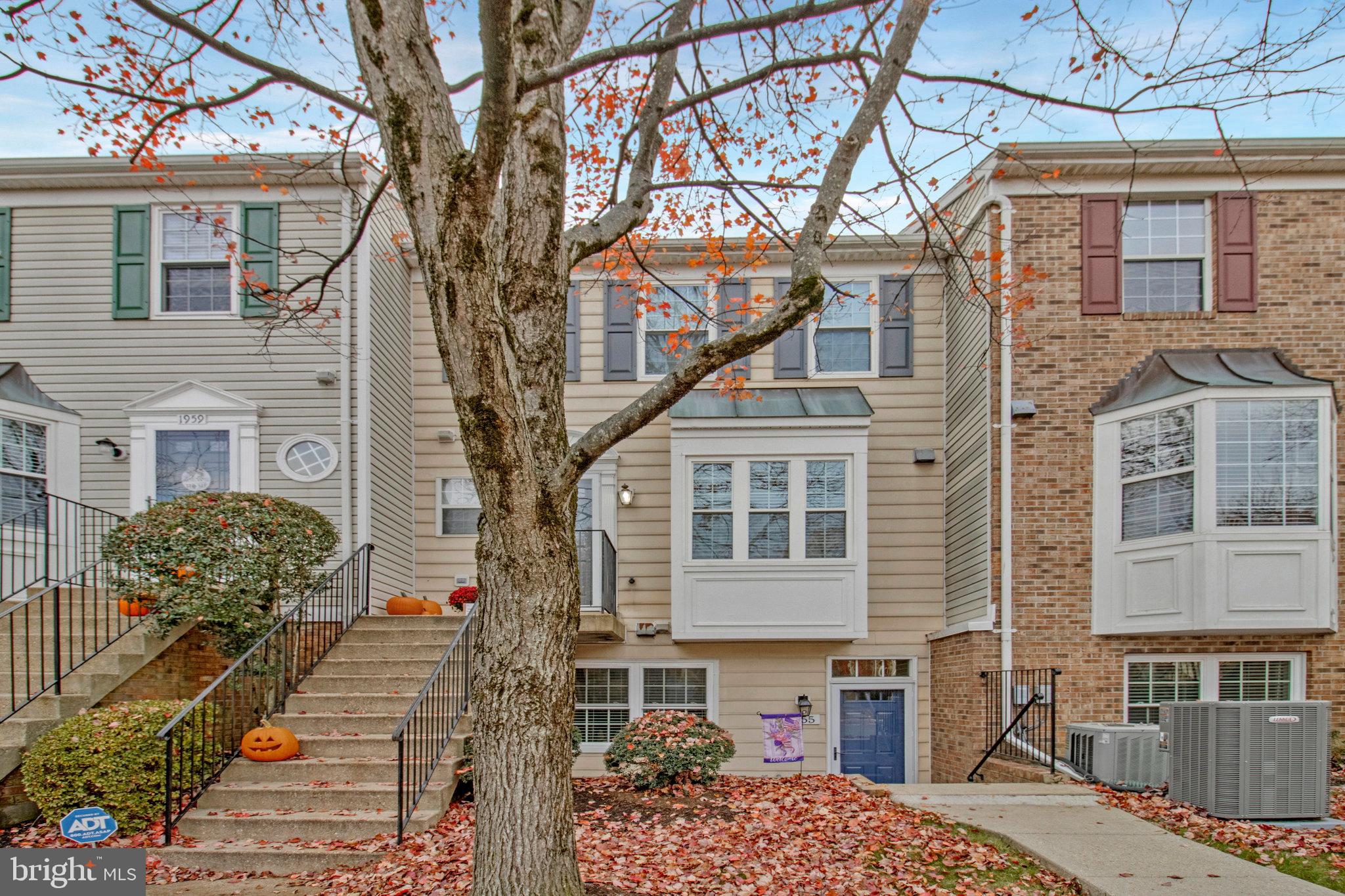 SYCAMORE MEWS - Residential