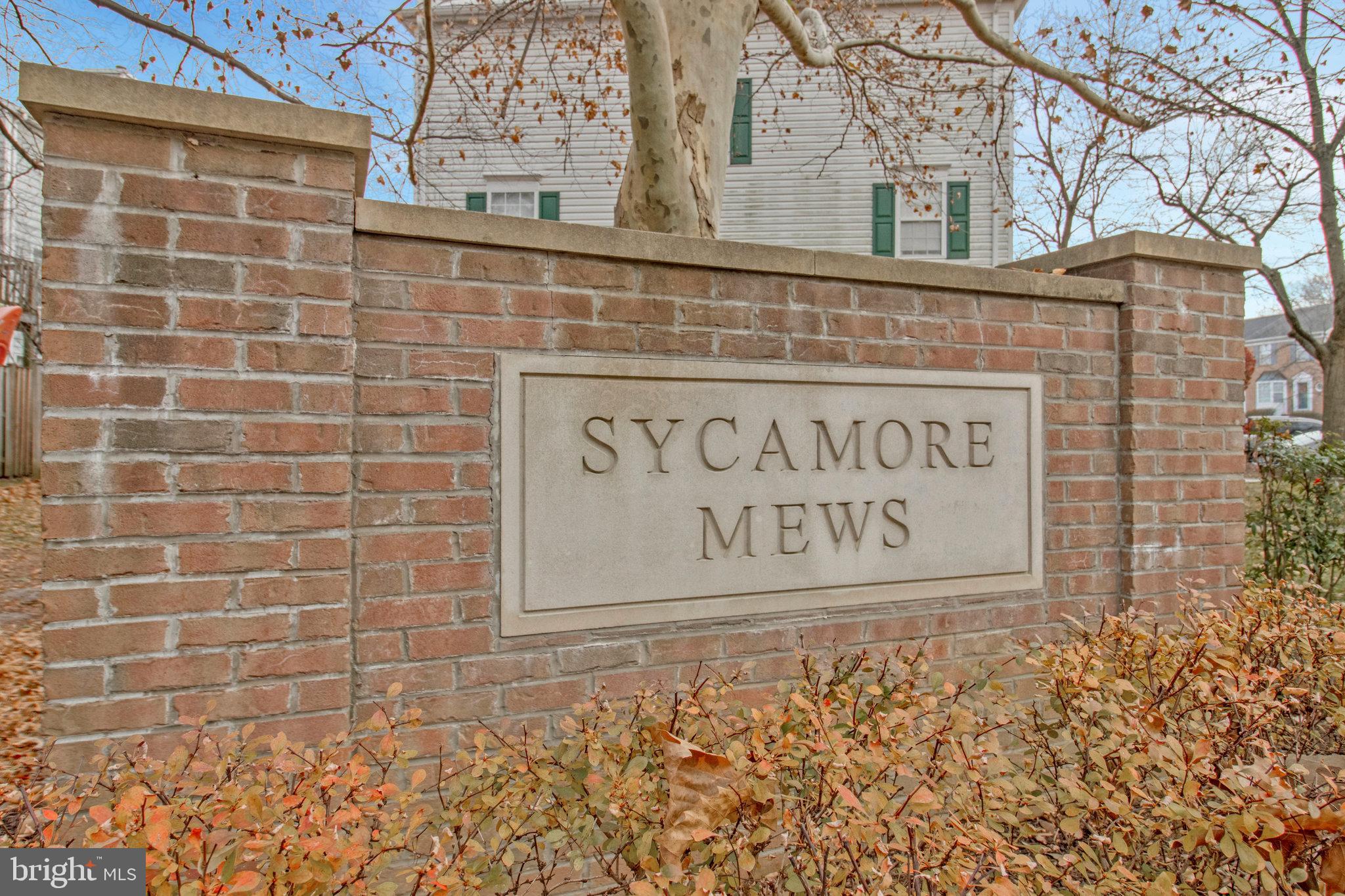 SYCAMORE MEWS - Residential