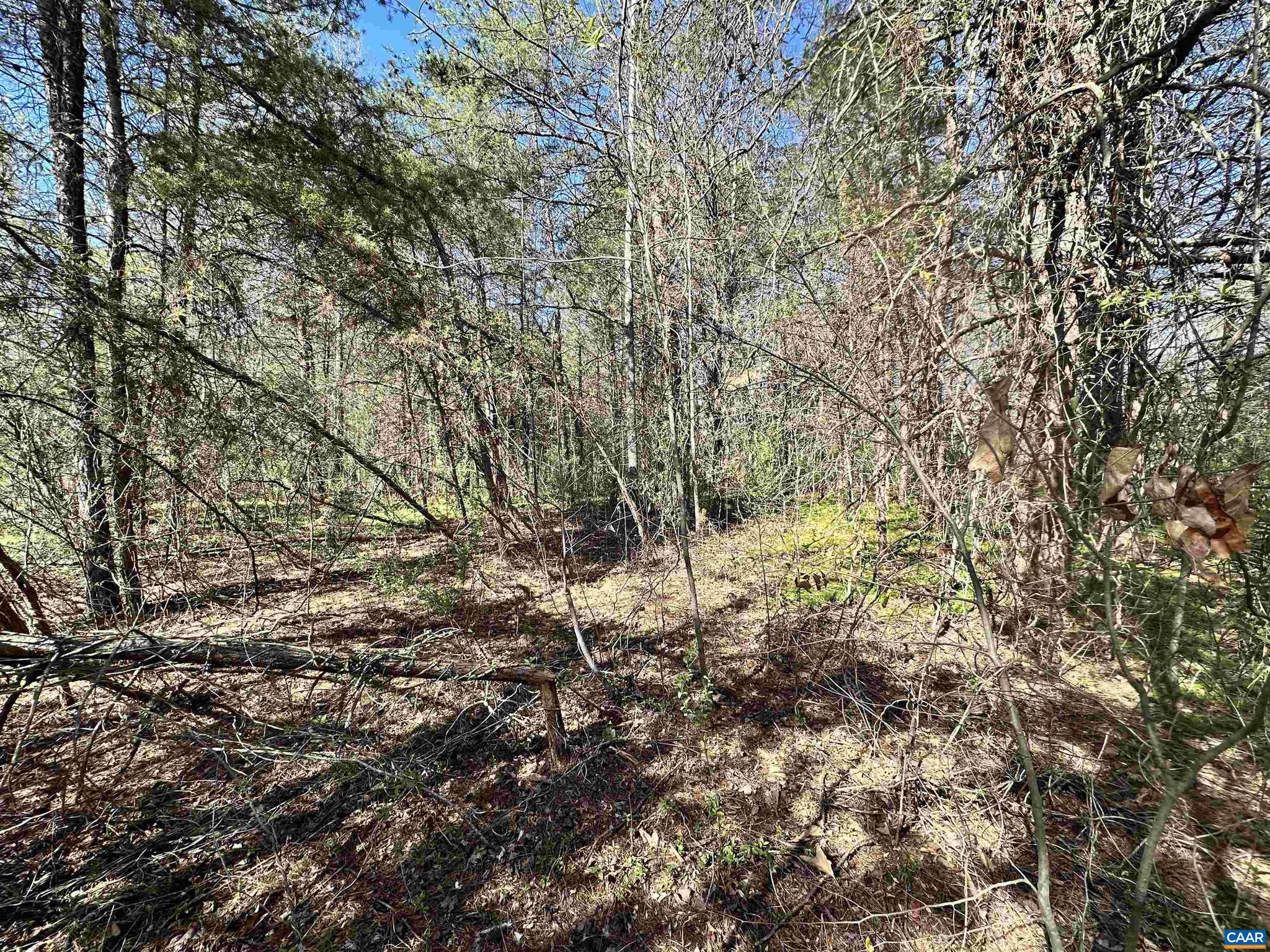 00 INDIAN TRACE TRL 12