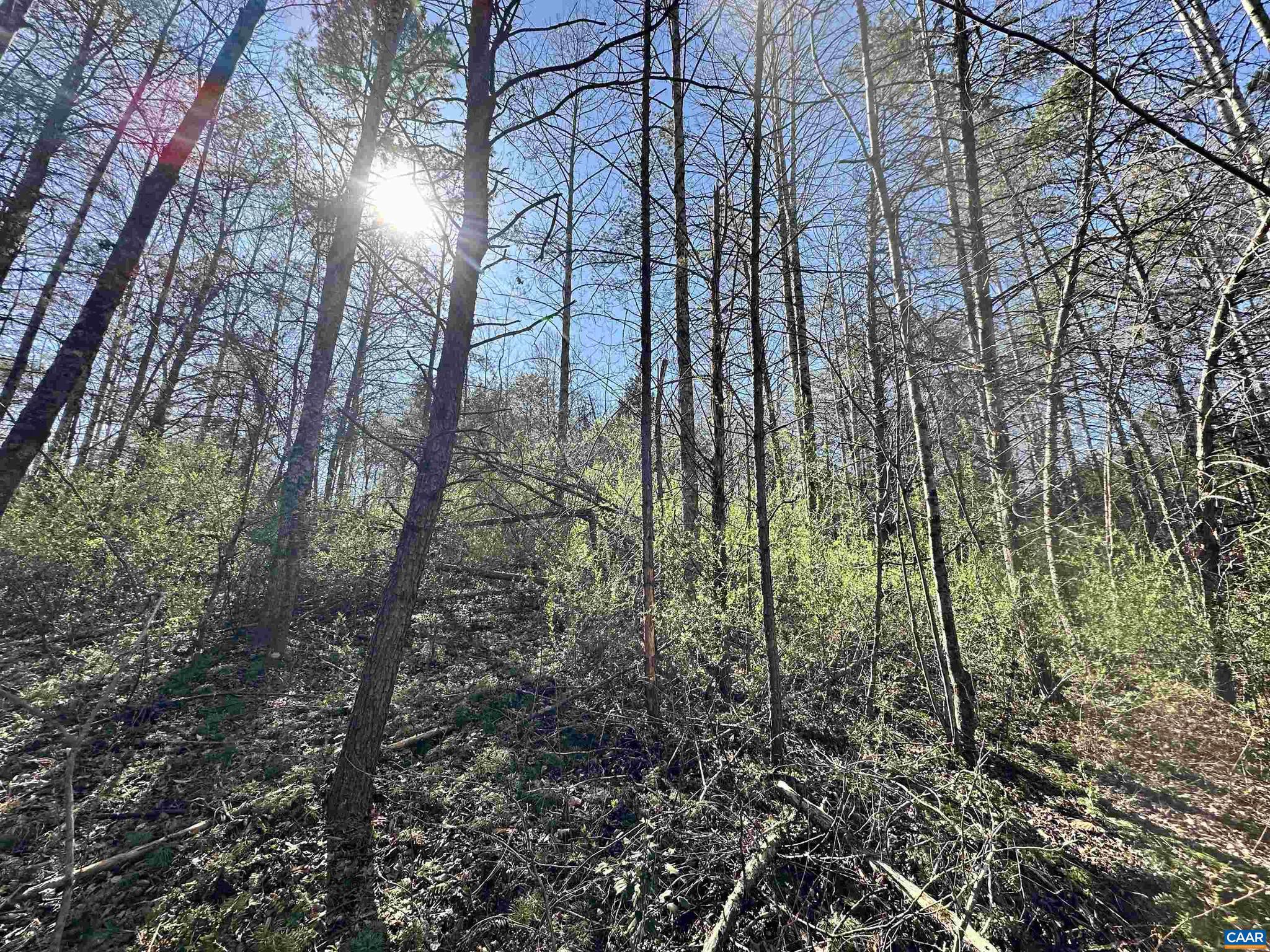 00 INDIAN TRACE TRL 12