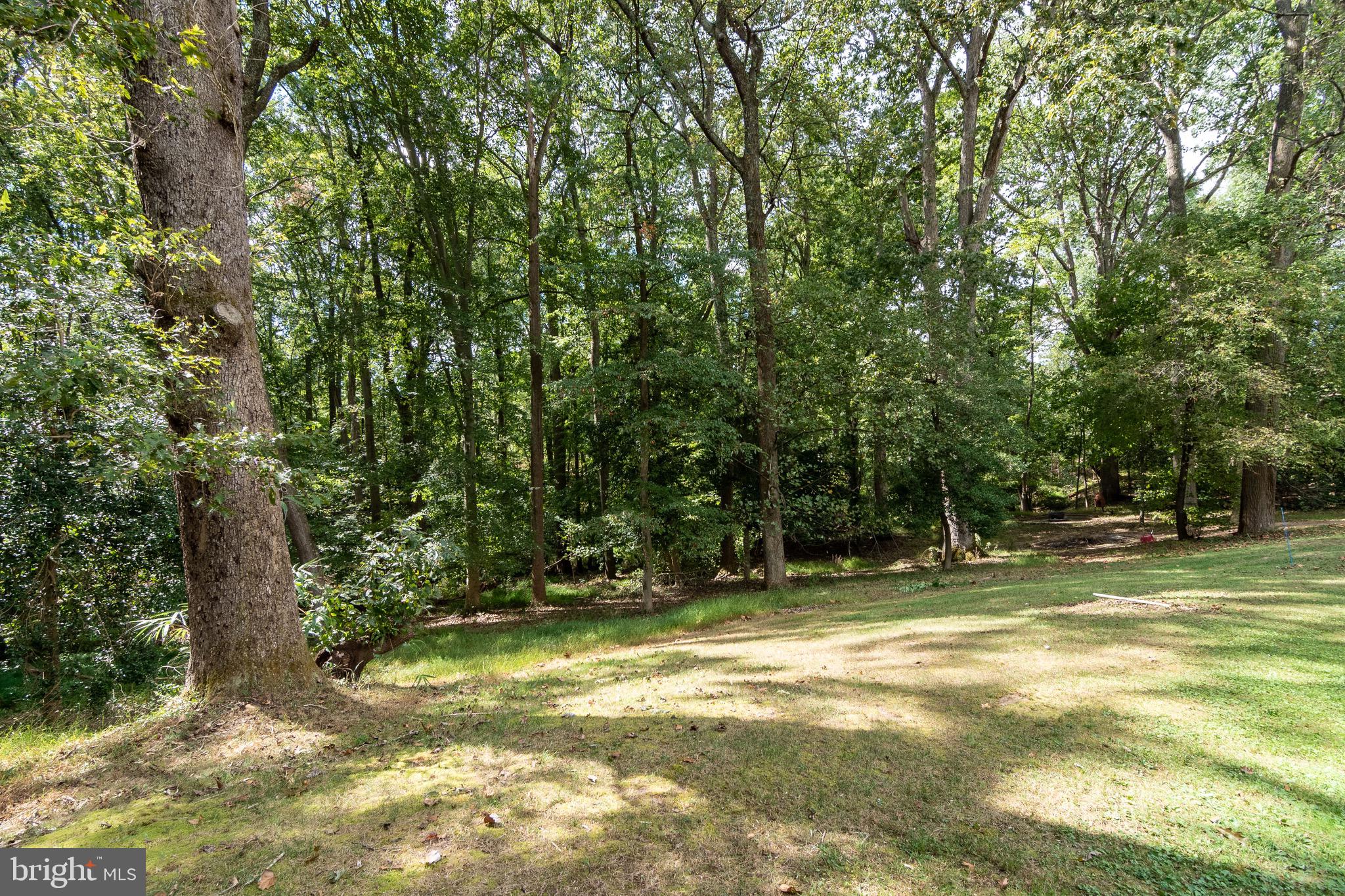 SPRINGFIELD FARMS - Residential