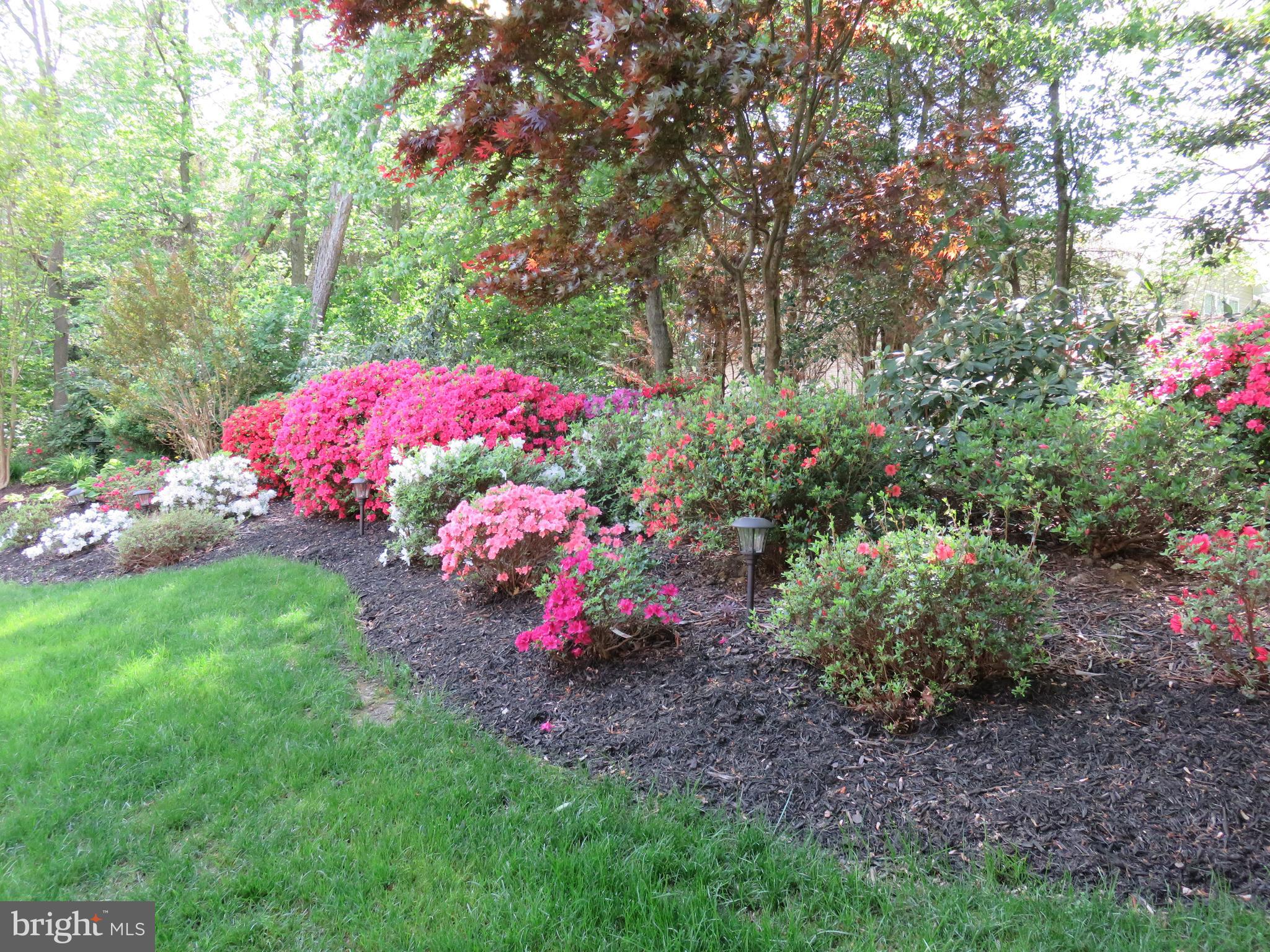 CROFTON COLONY - Residential