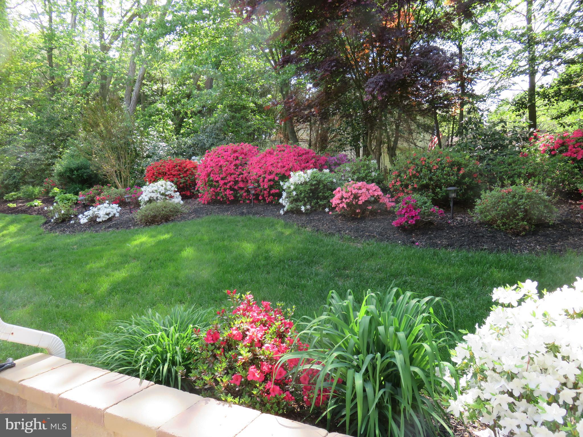 CROFTON COLONY - Residential