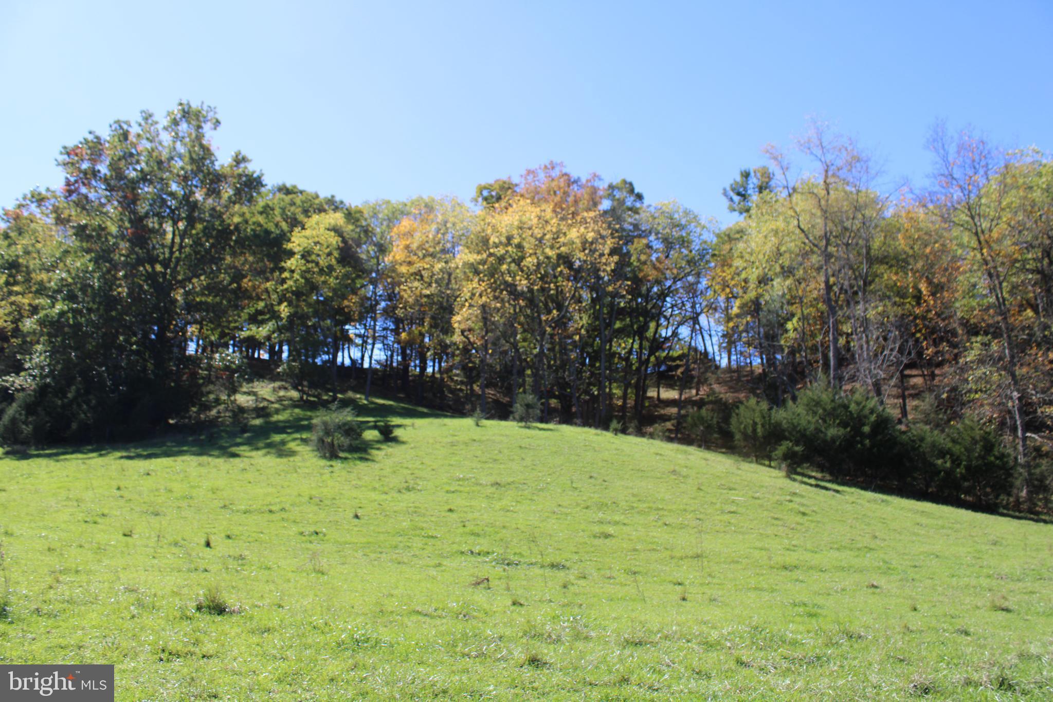 NONE AVAILABLE - Land