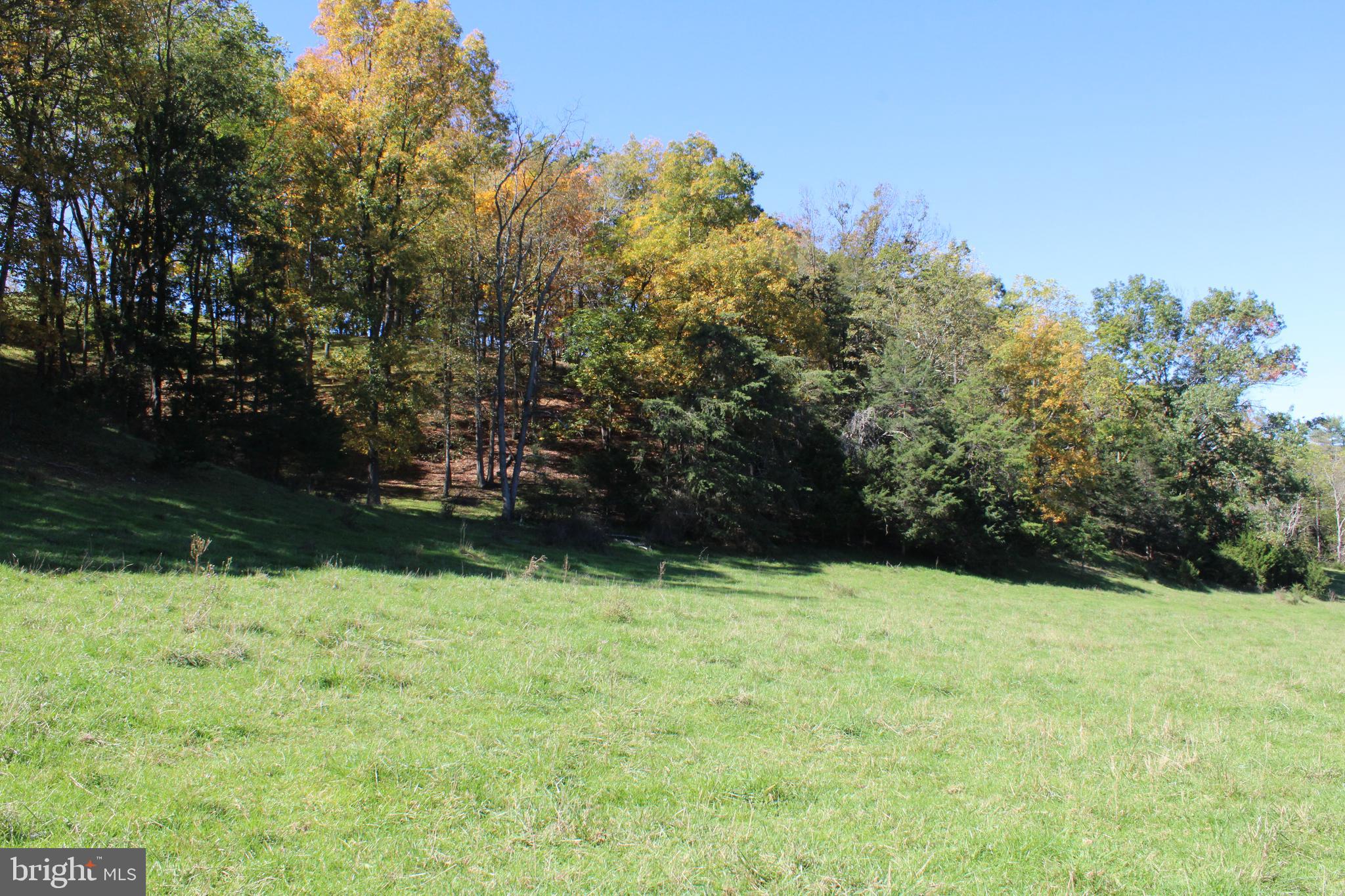 NONE AVAILABLE - Land