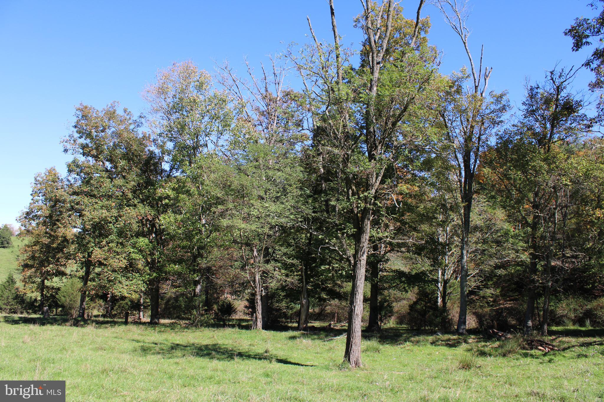 NONE AVAILABLE - Land