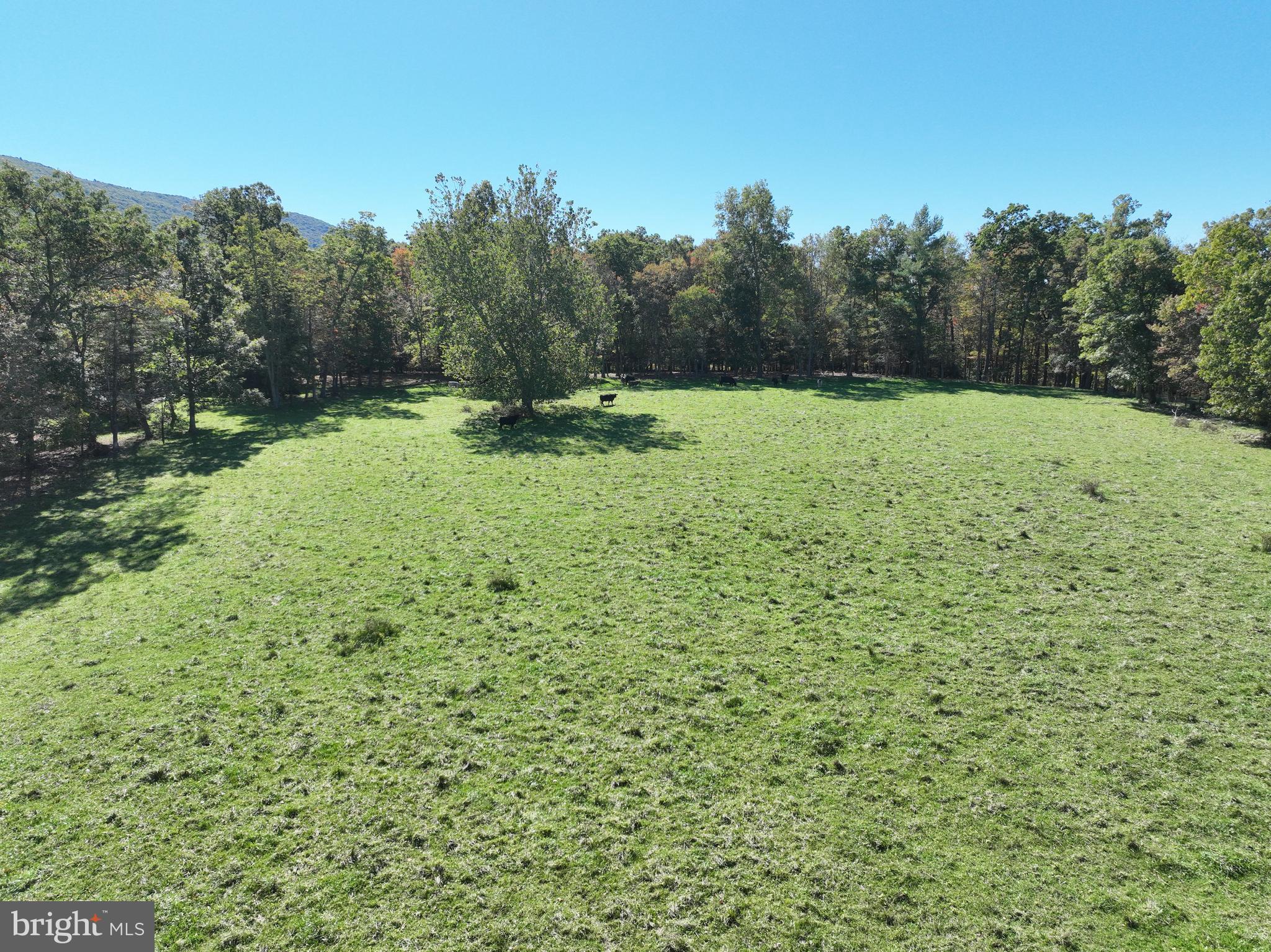 NONE AVAILABLE - Land