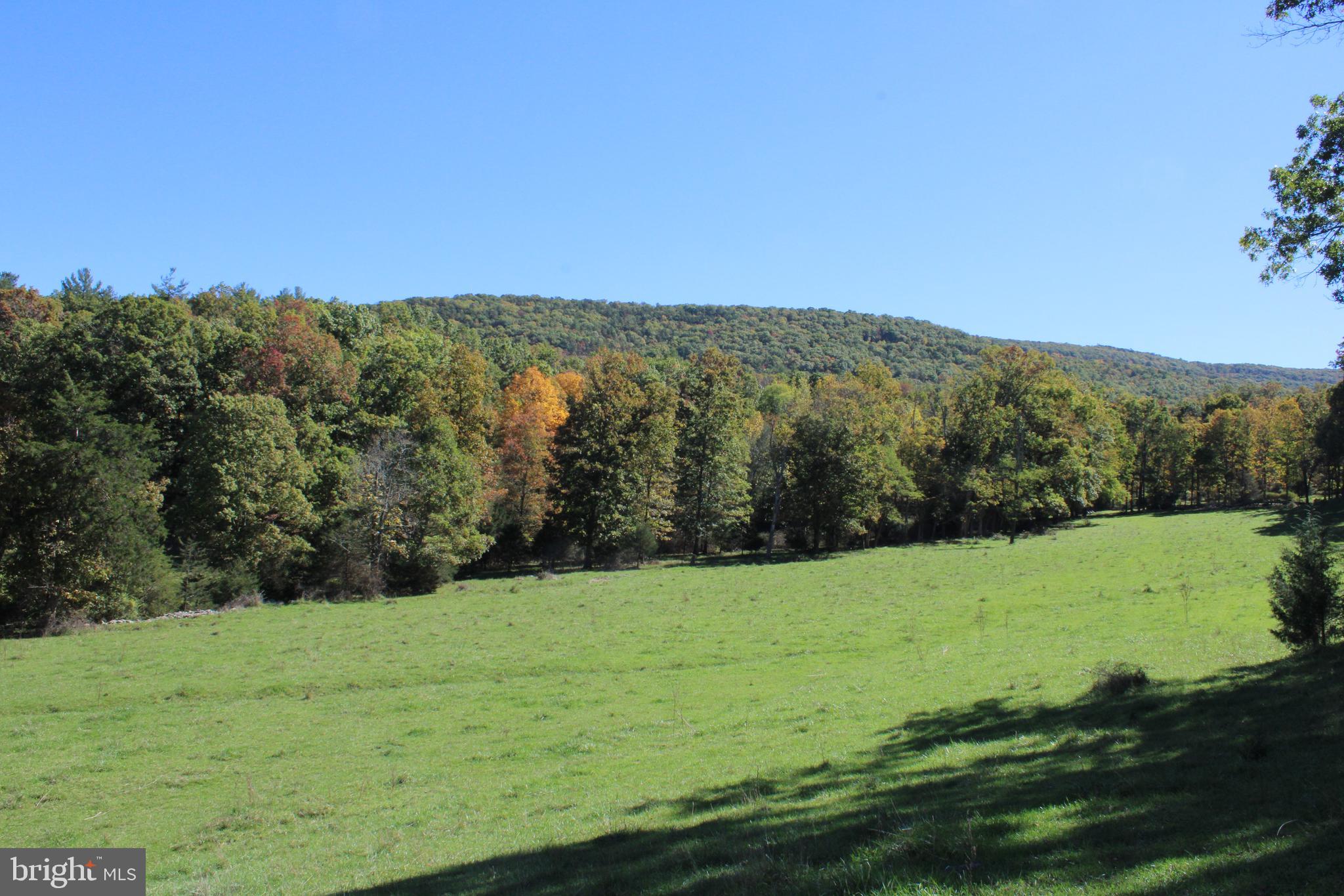 NONE AVAILABLE - Land