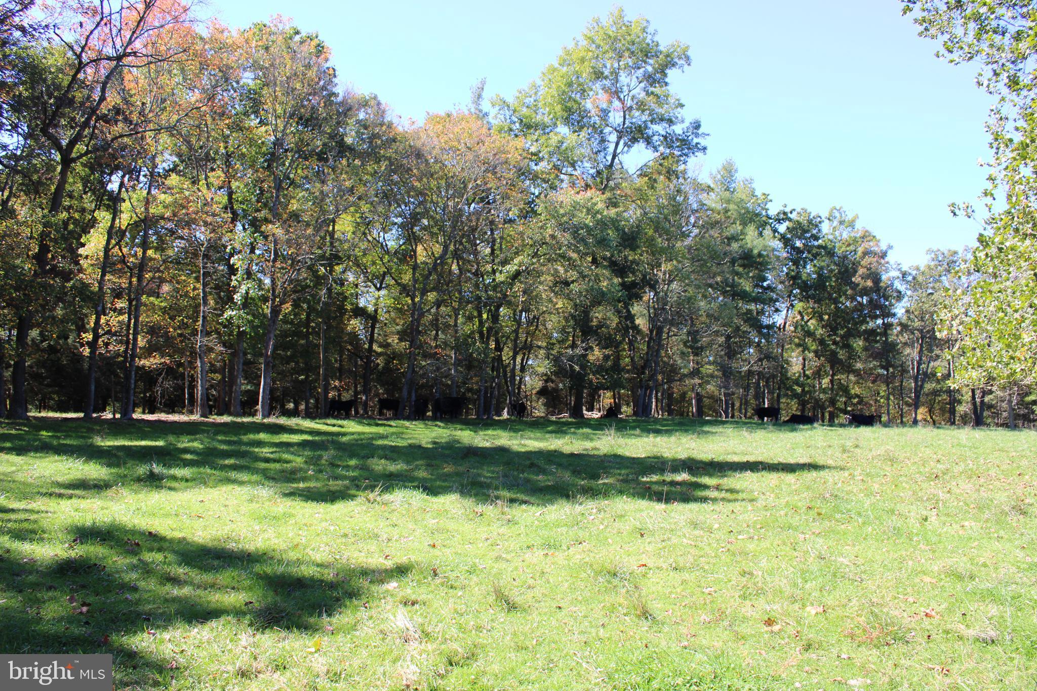 NONE AVAILABLE - Land