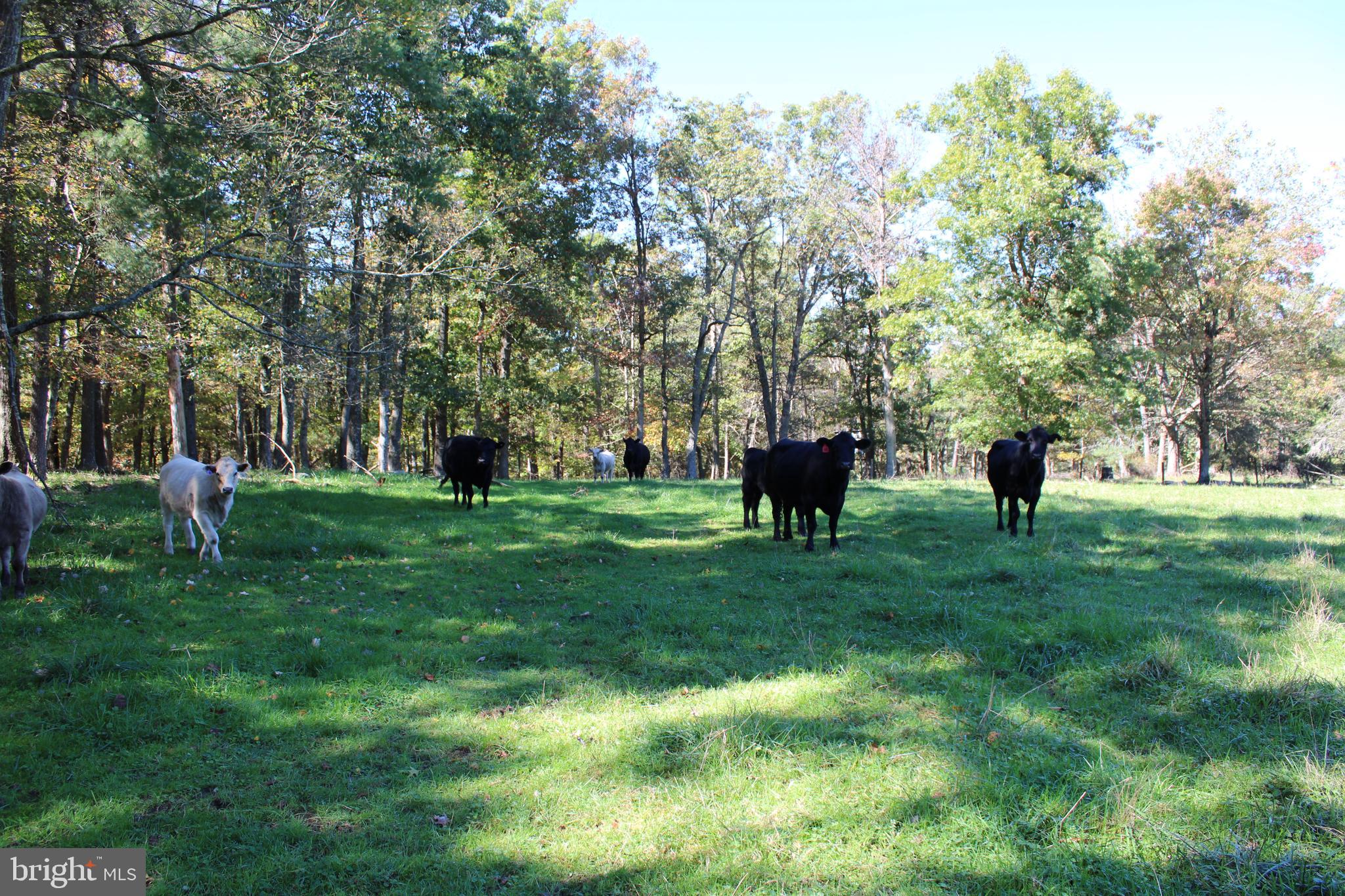 NONE AVAILABLE - Land