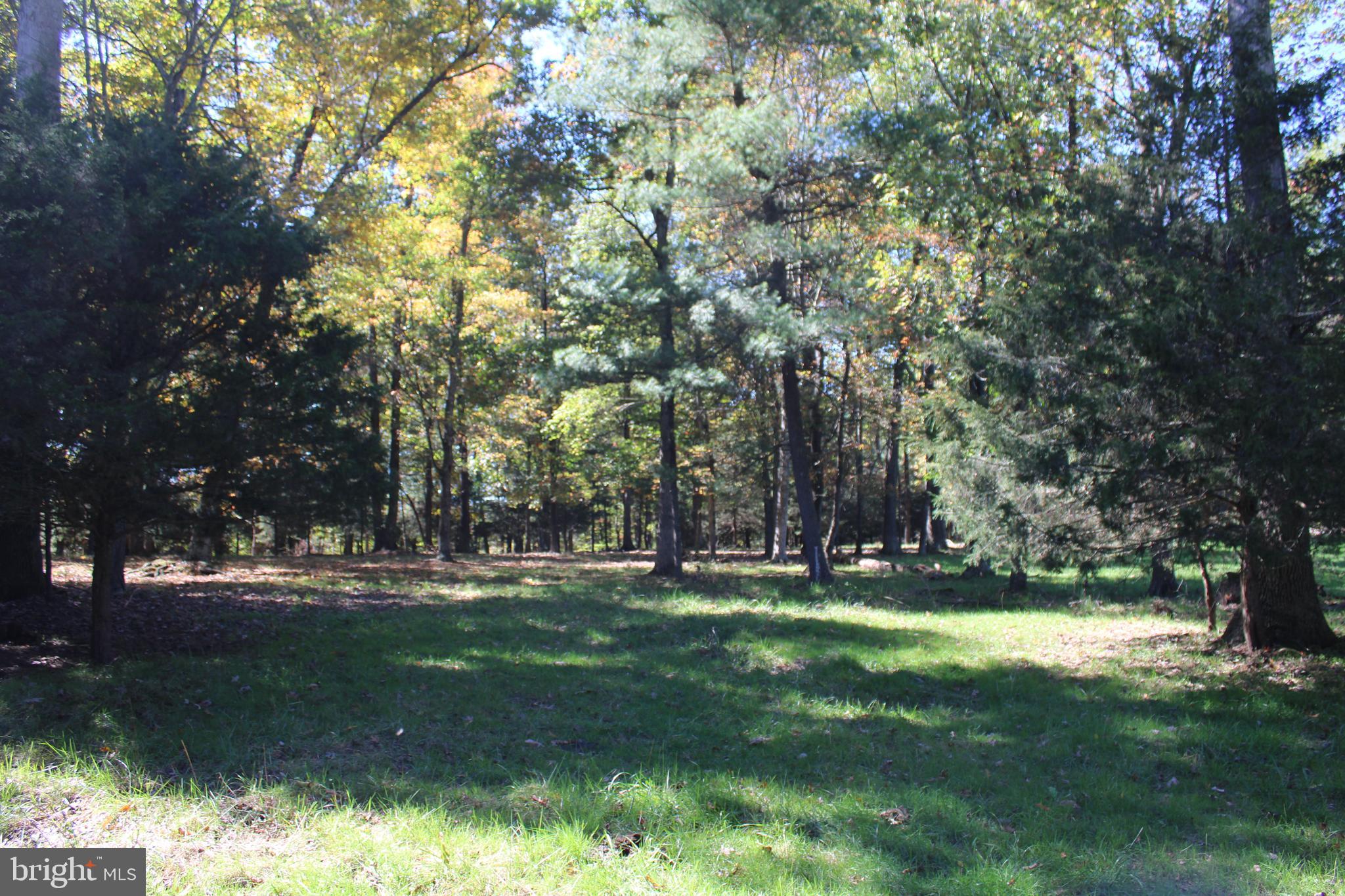 NONE AVAILABLE - Land