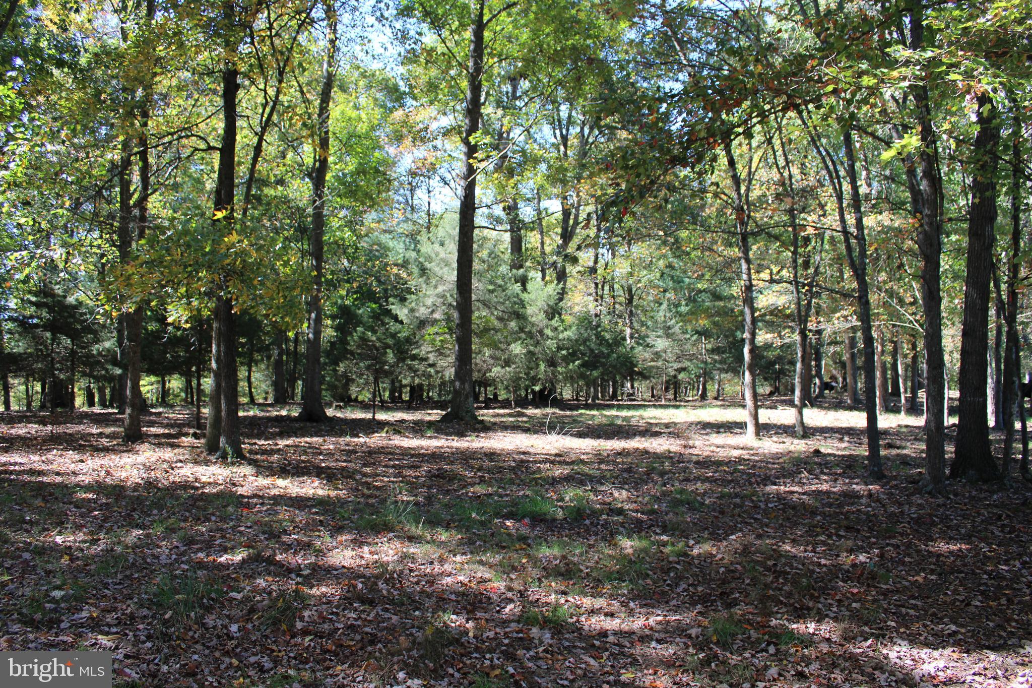 NONE AVAILABLE - Land