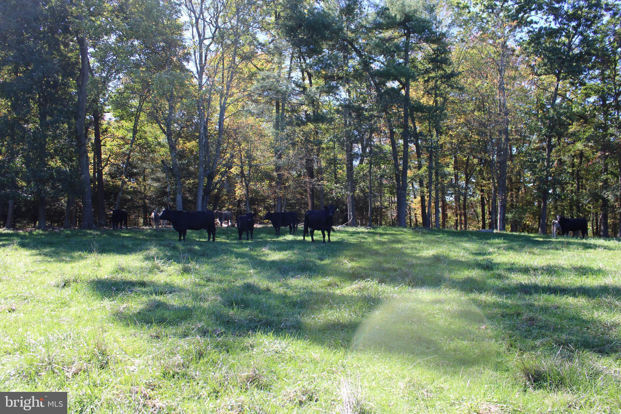 NONE AVAILABLE - Land