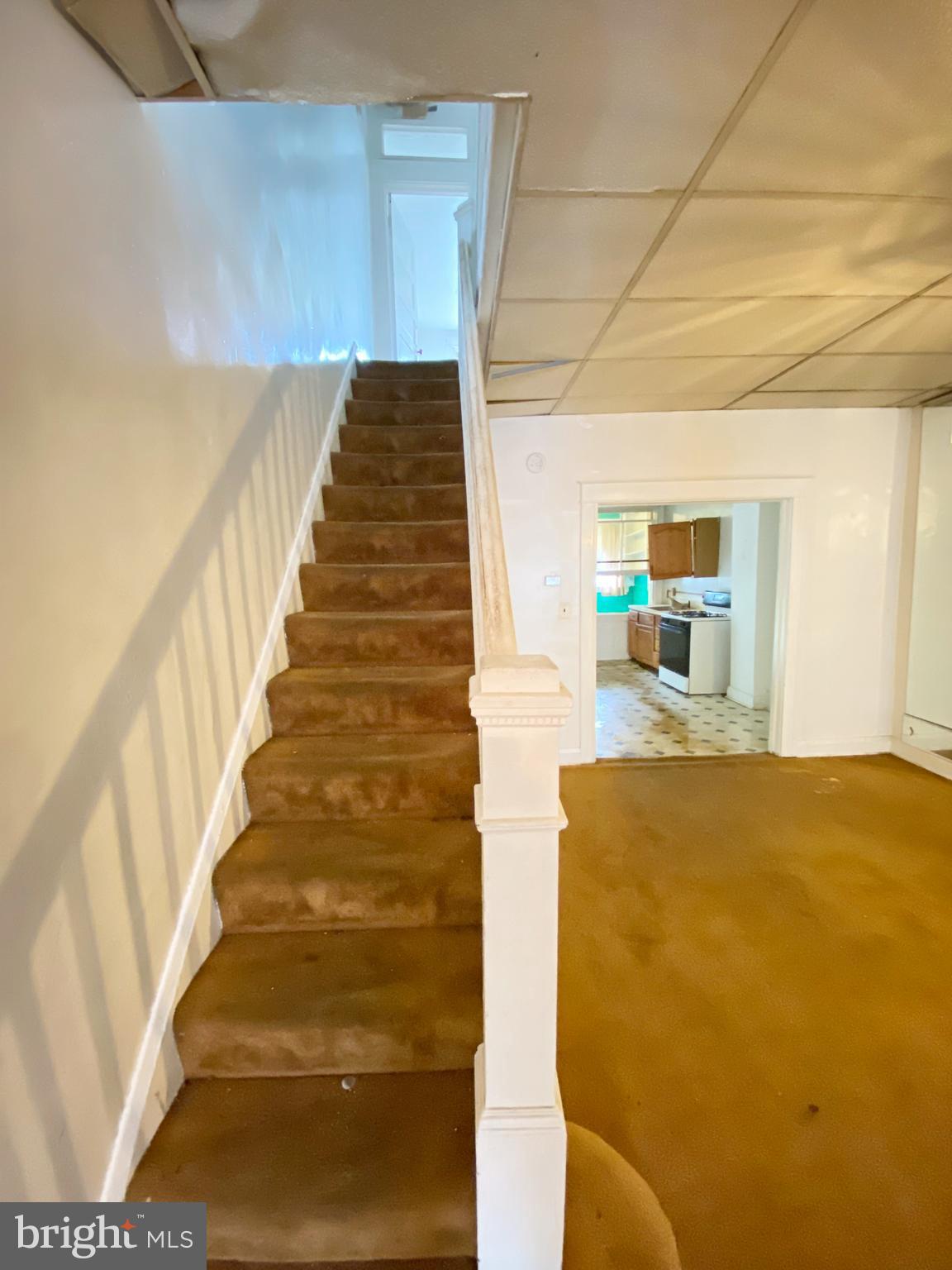 PENROSE - Residential