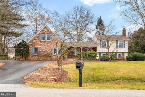 4311 ZIRCON ROAD MIDDLETOWN MD 21769