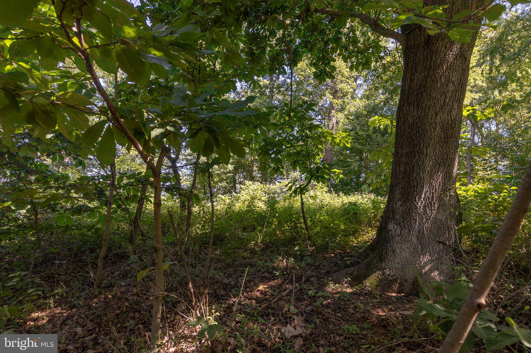 KNIGHTS ISLAND PRESERVE - Land
