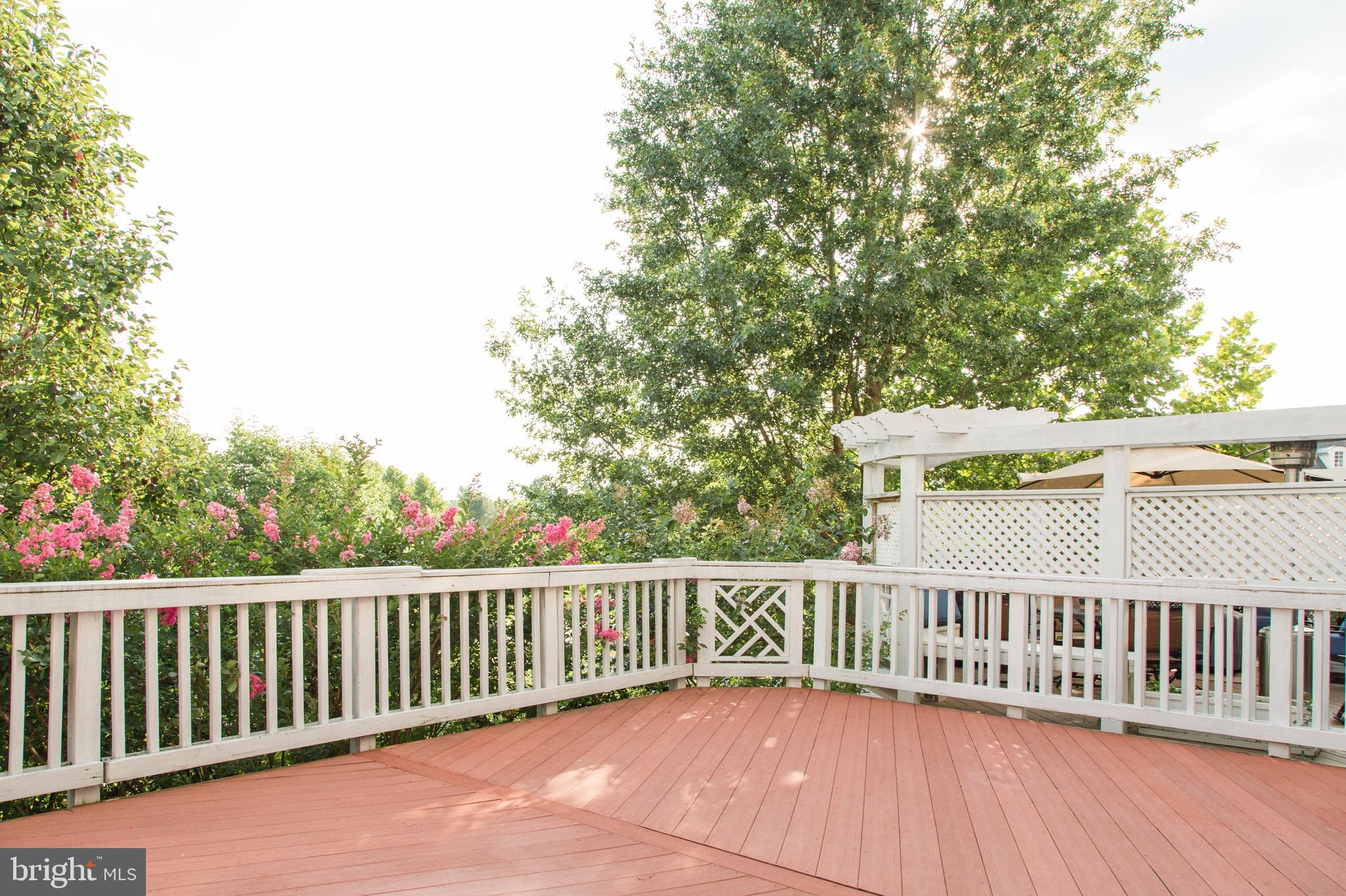 PIEDMONT - Residential Lease