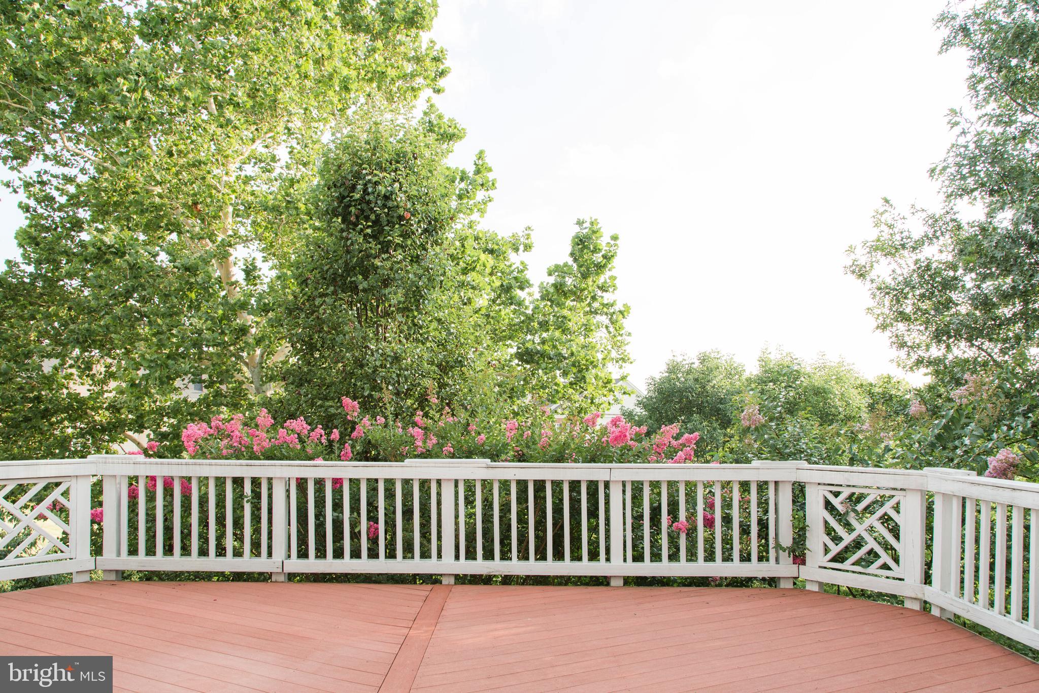 PIEDMONT - Residential Lease