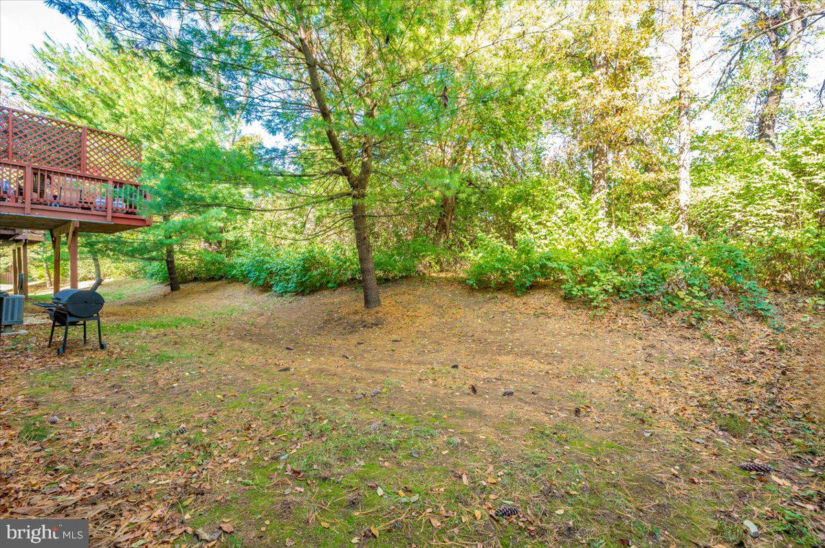 MOUNTAIN VILLAGE - Residential Lease