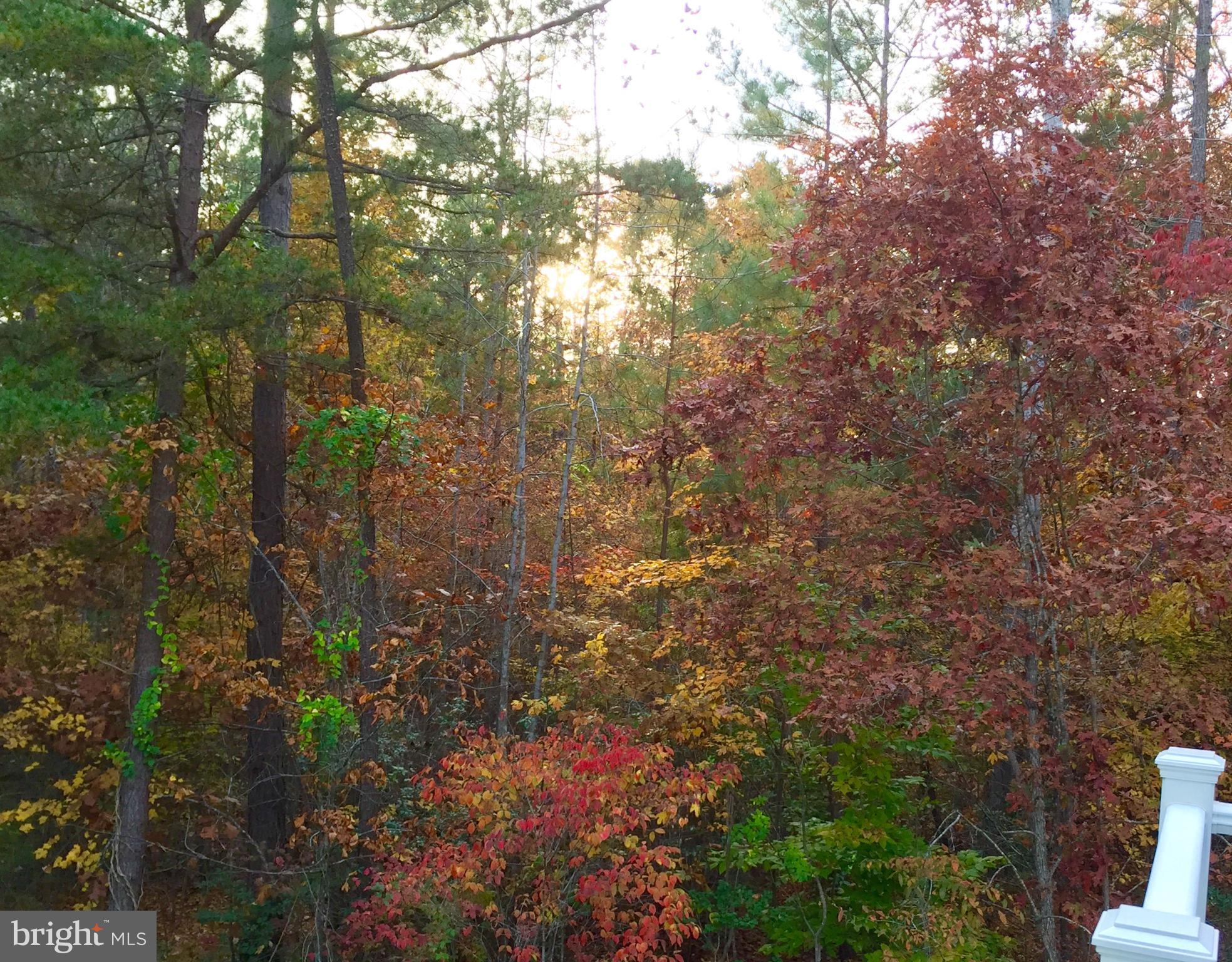 53 QUEEN LAURENS COURT