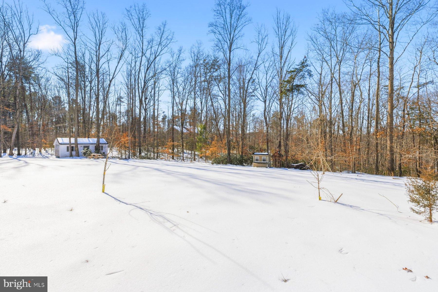 QUEENS GUARD - Residential