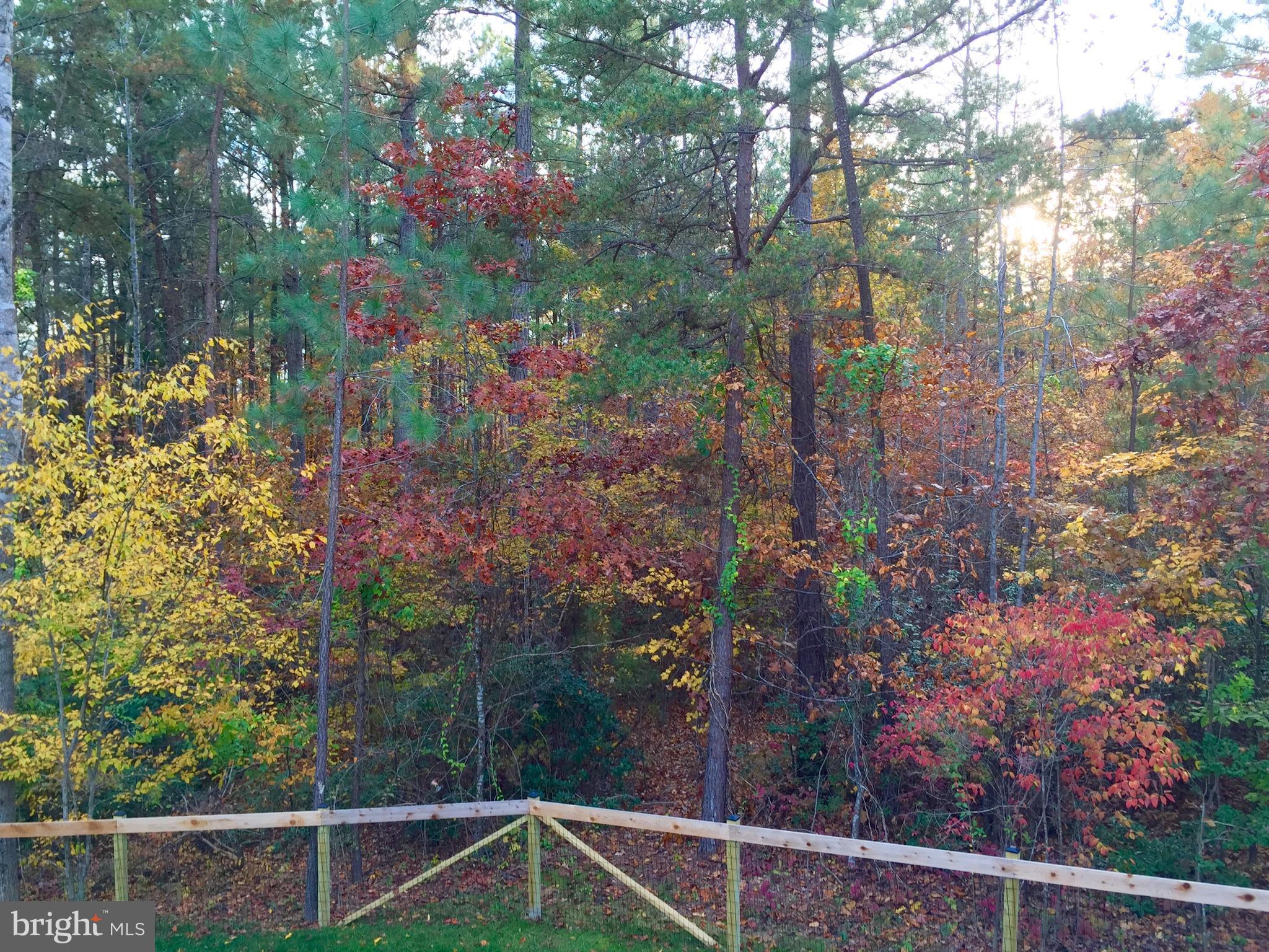 QUEENS GUARD - Residential