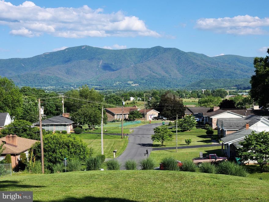 This .45-acre lot in the town of Luray is the perfect place to build your dream home! Perched on a small hill, it offers stunning mountain views in the front and a peaceful pasture setting in the back, all while featuring a level home site for easy construction. The lot is already partially developed with a driveway cut in, landscaping in place, and two storage sheds—one of them brand new! Conveniently located right off Route 340, this property offers quick access to everything Luray has to offer. You’ll be just minutes from top attractions like the Hawksbill Greenway hiking trail, Main Street’s charming shops and restaurants, Shenandoah National Park, Luray Caverns, Lake Arrowhead, George Washington National Forest, and the Shenandoah River State Park. Don't miss your chance to own a piece of the Shenandoah Valley!