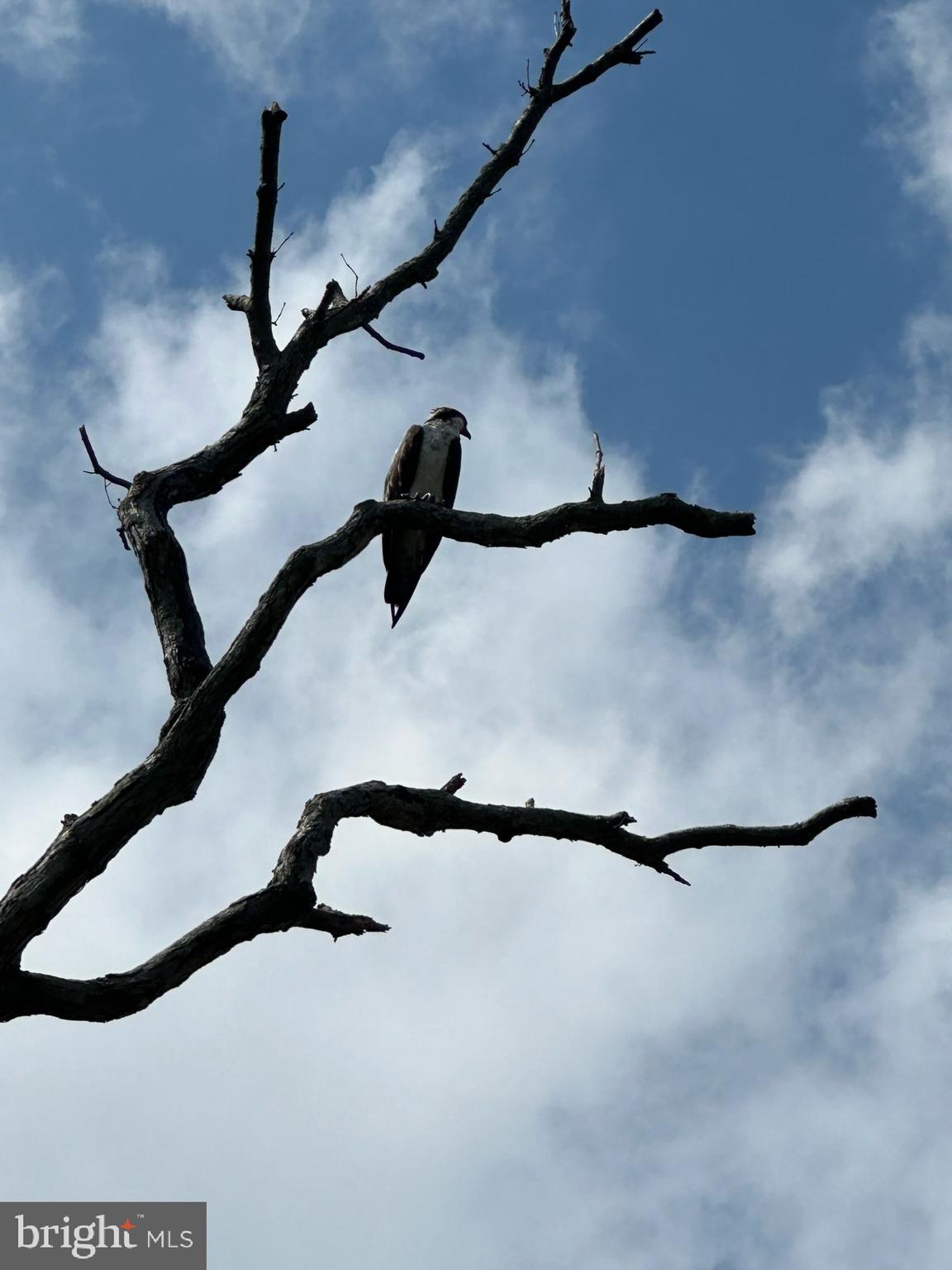 IDLEWILDE ON THE BAY - Residential