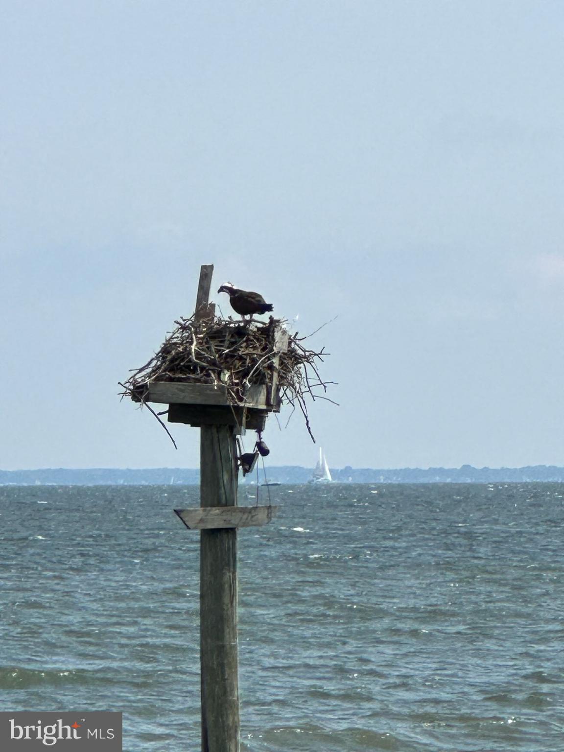 IDLEWILDE ON THE BAY - Residential