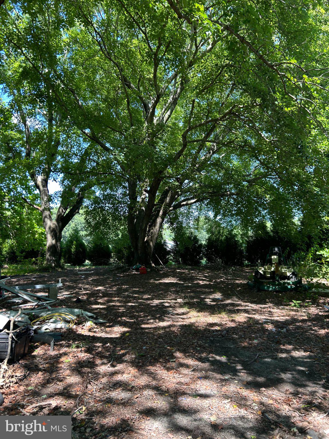 11377 KITTYS CORNER ROAD