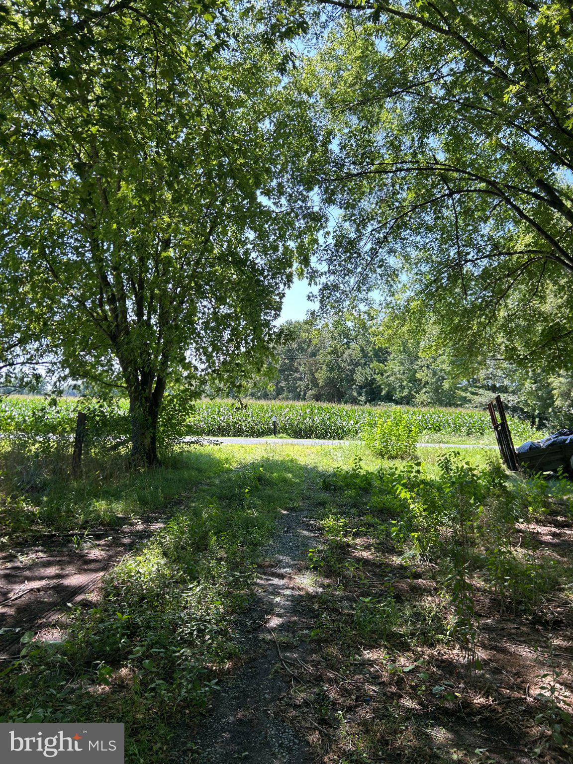 11377 KITTYS CORNER ROAD