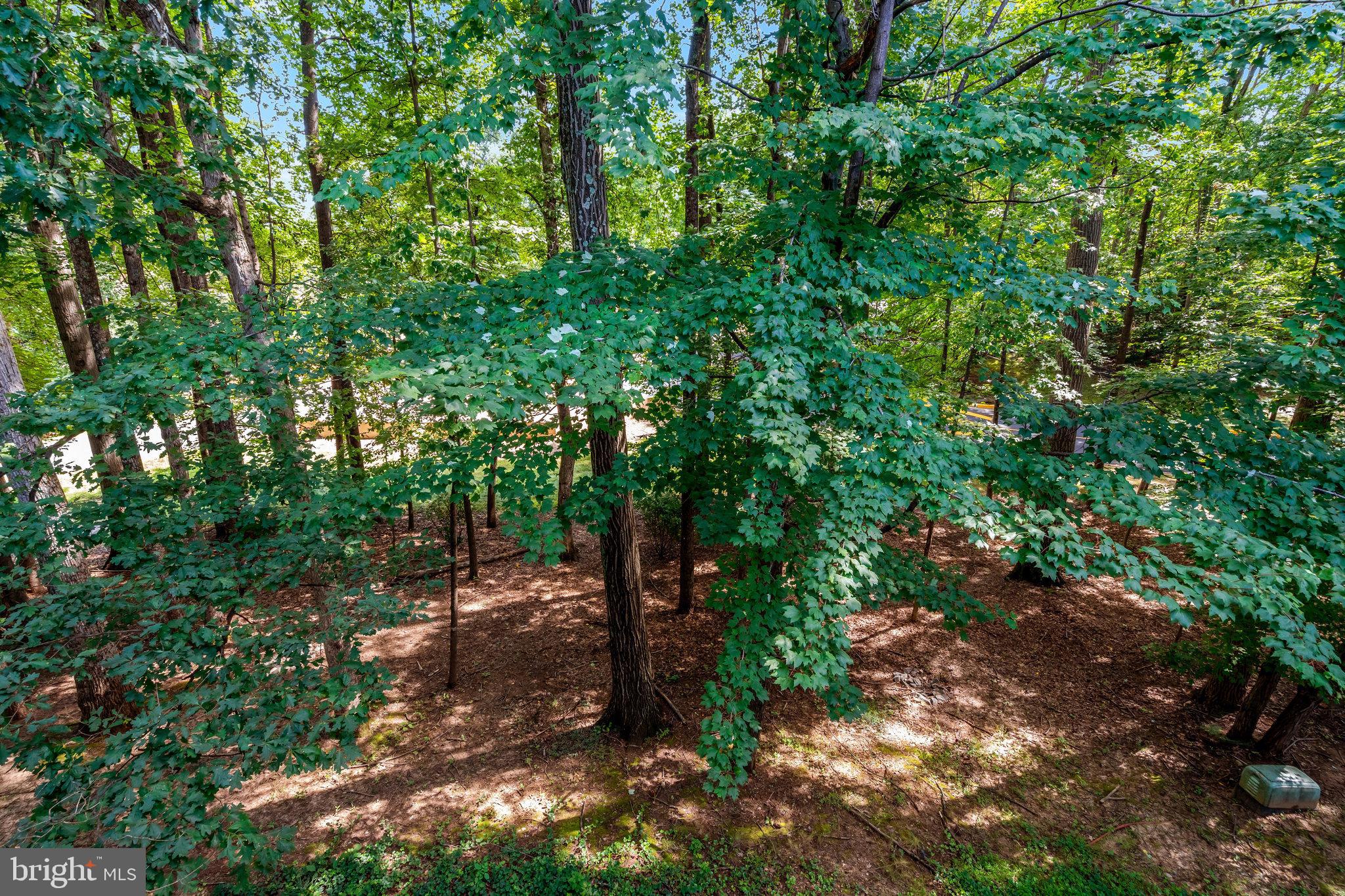 BURKE COVE - Residential